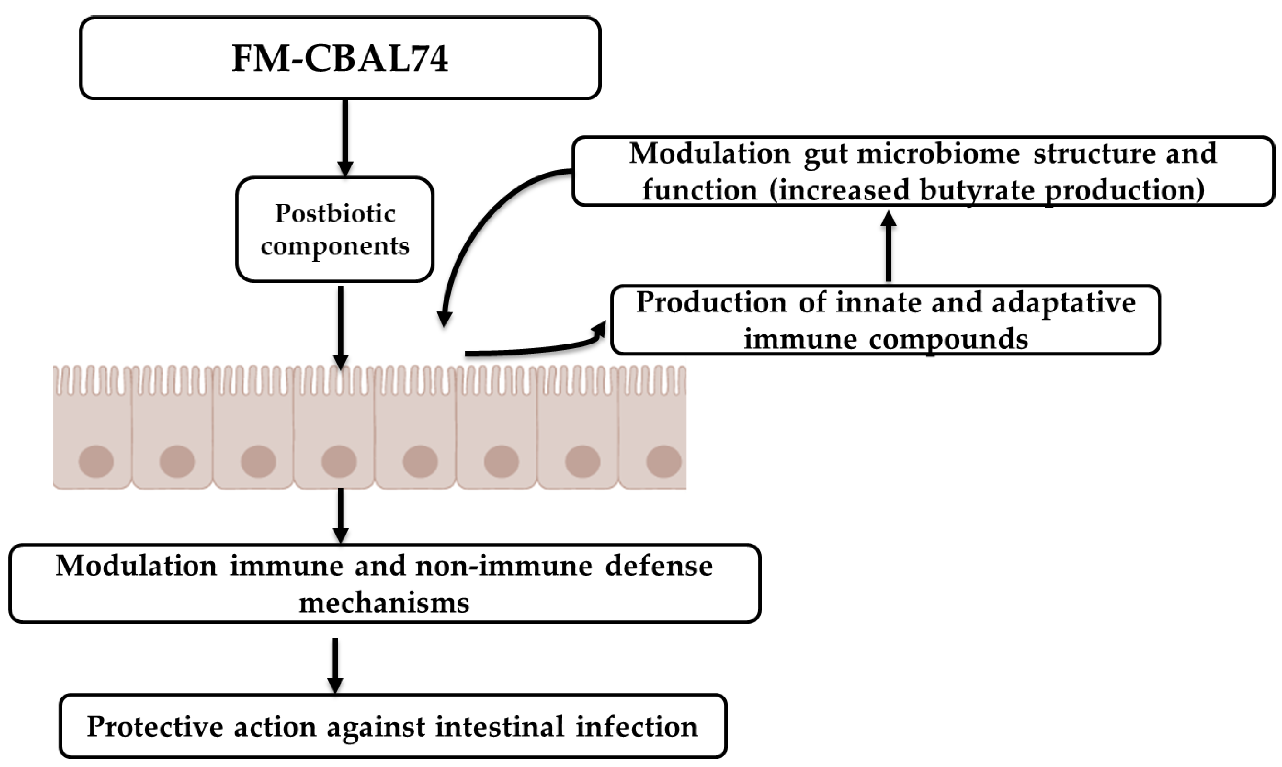 Microorganisms 11 00010 g007