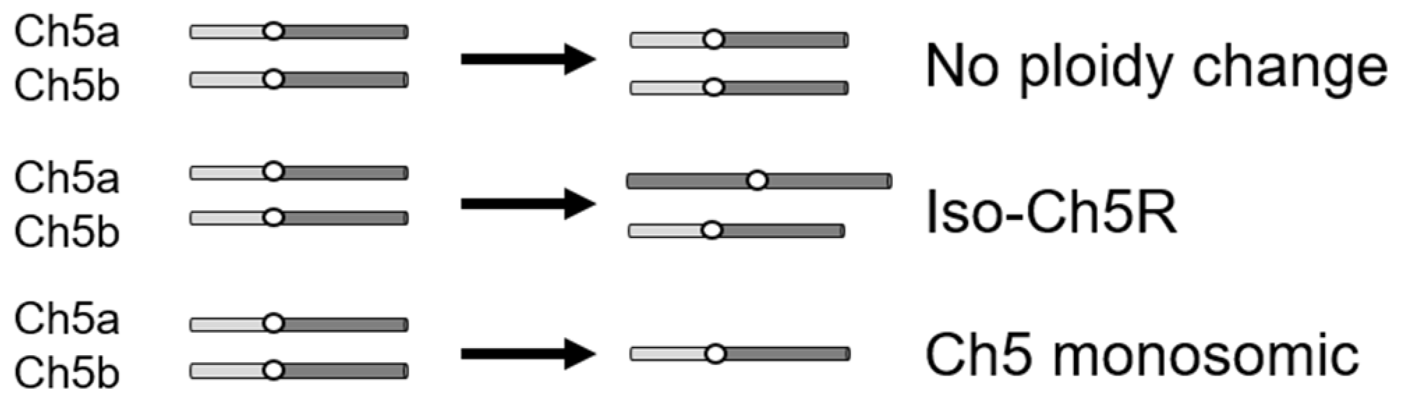 Microorganisms 11 00023 g001 Microorganisms 11 00023 g001