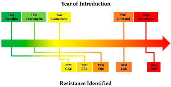 Vancomycin Resistance in Enterococcus and Staphylococcus aureus