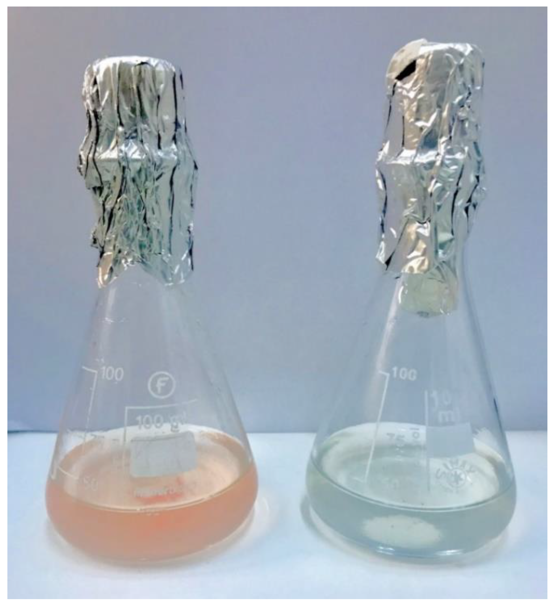 Microorganisms 11 00027 g001 Microorganisms 11 00027 g001