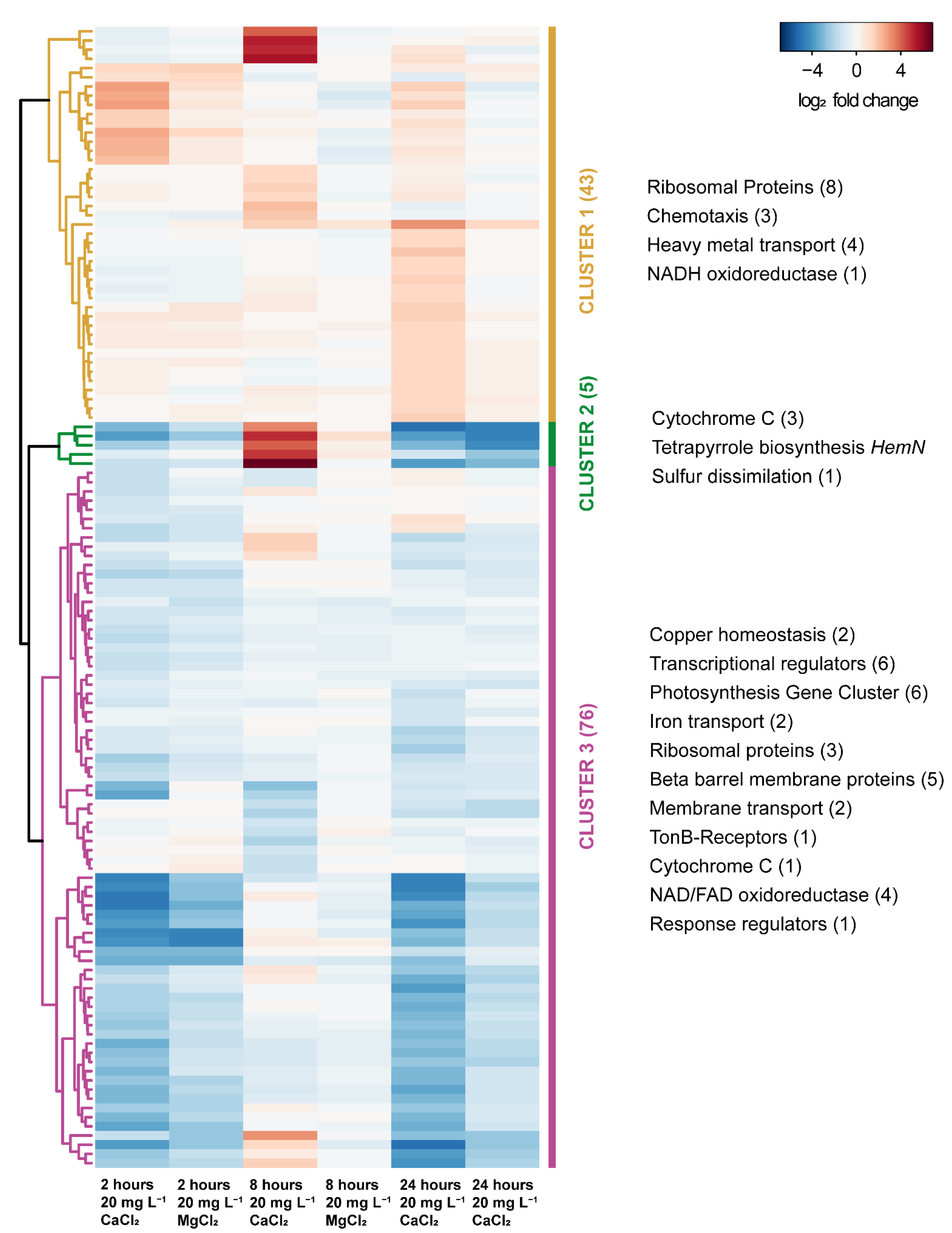 Microorganisms 11 00027 g007 Microorganisms 11 00027 g007
