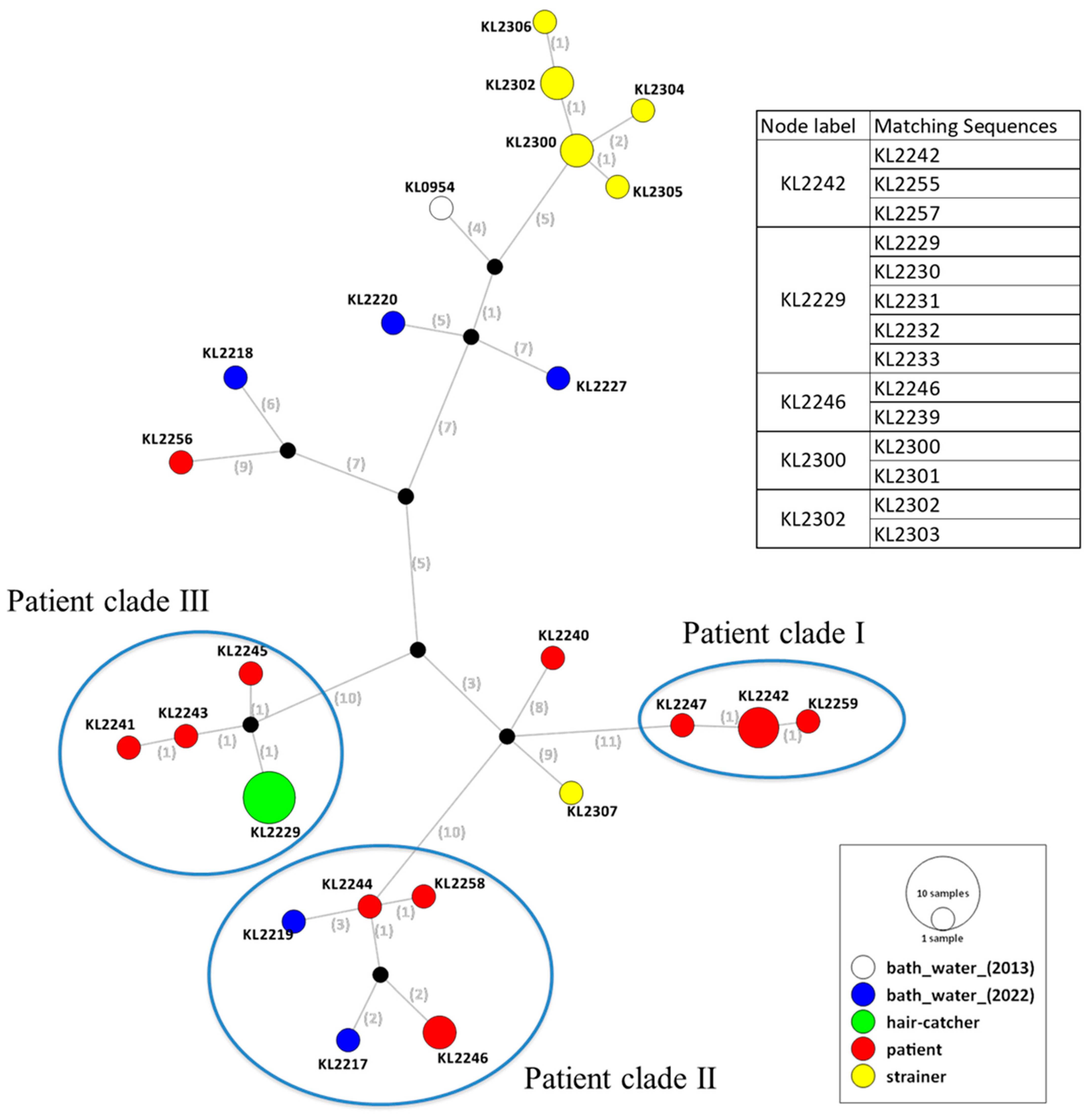 Microorganisms 11 00028 g001