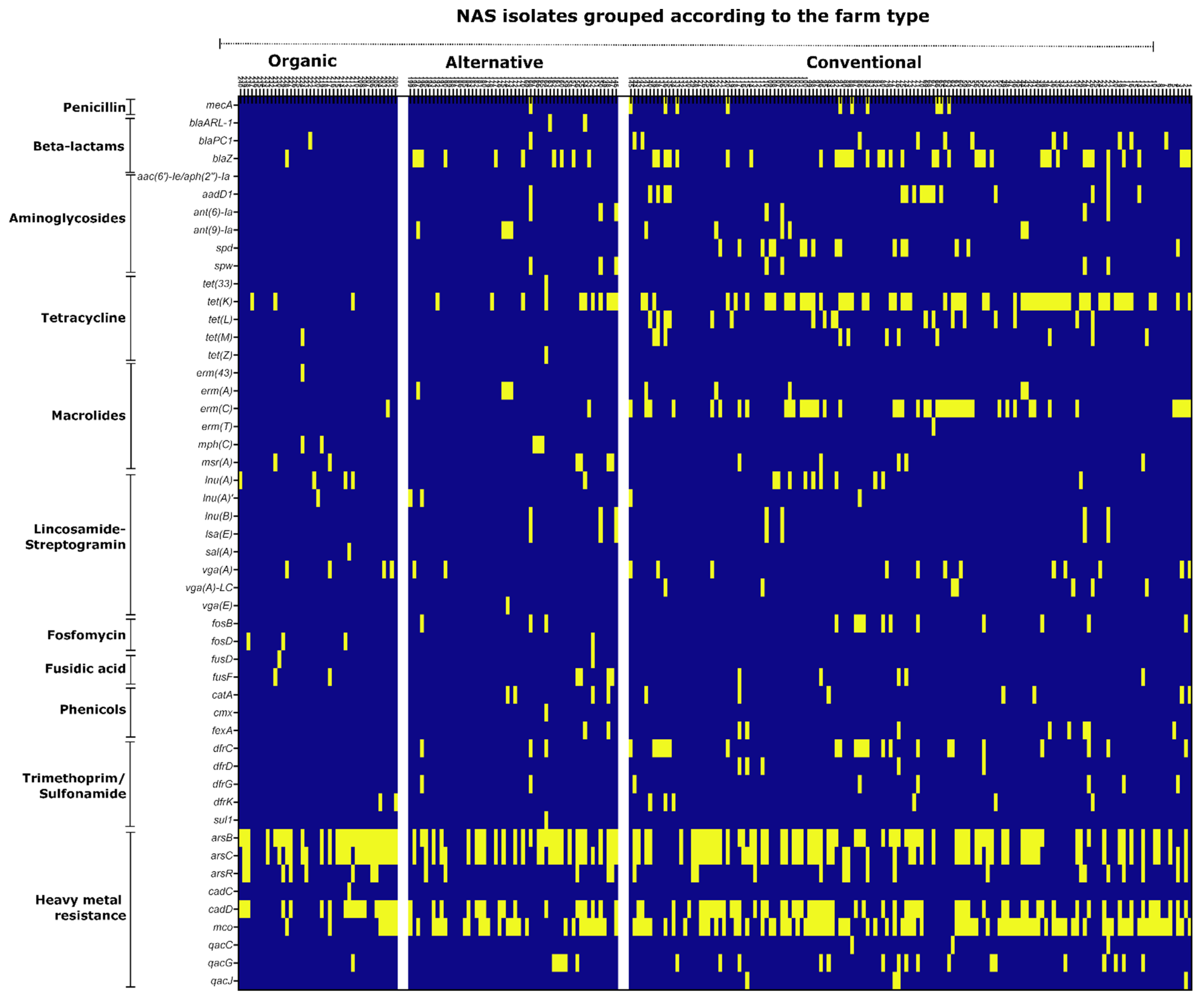 Microorganisms 11 00031 g004 Microorganisms 11 00031 g004
