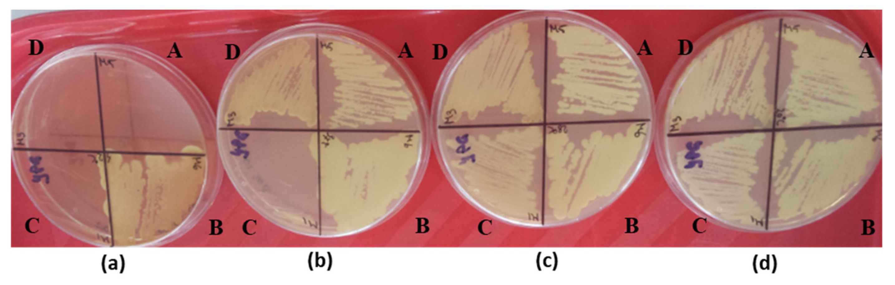 Microorganisms 11 00037 g003 Microorganisms 11 00037 g003