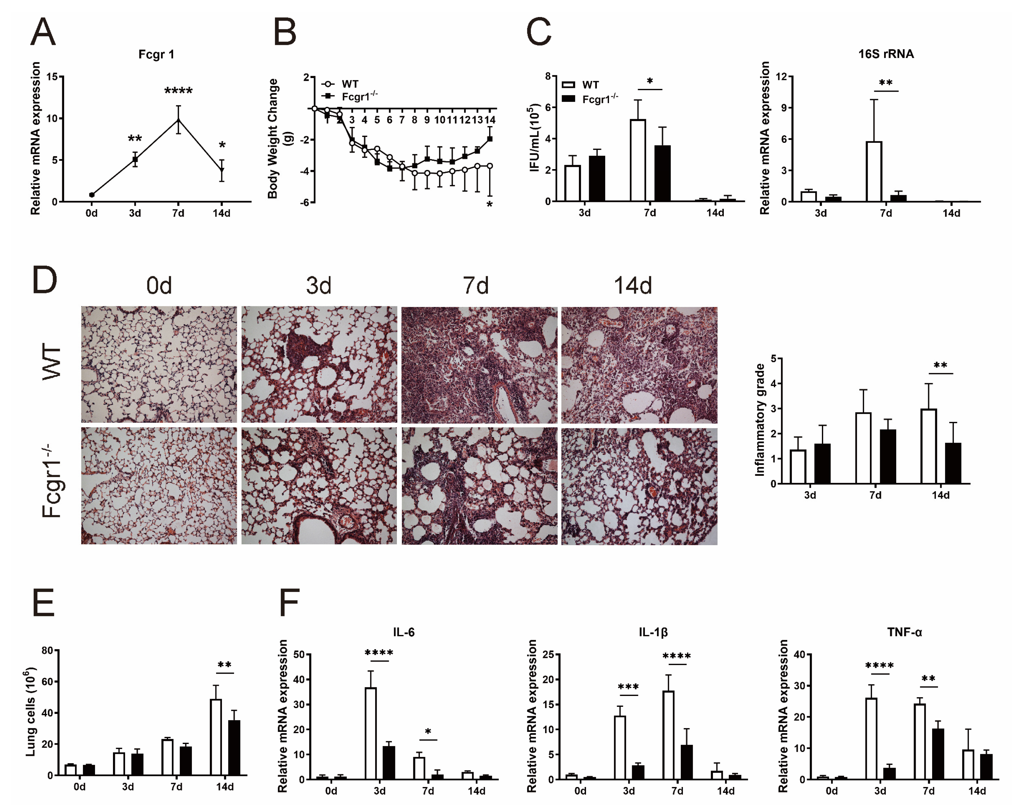 Microorganisms 11 00039 g001 Microorganisms 11 00039 g001