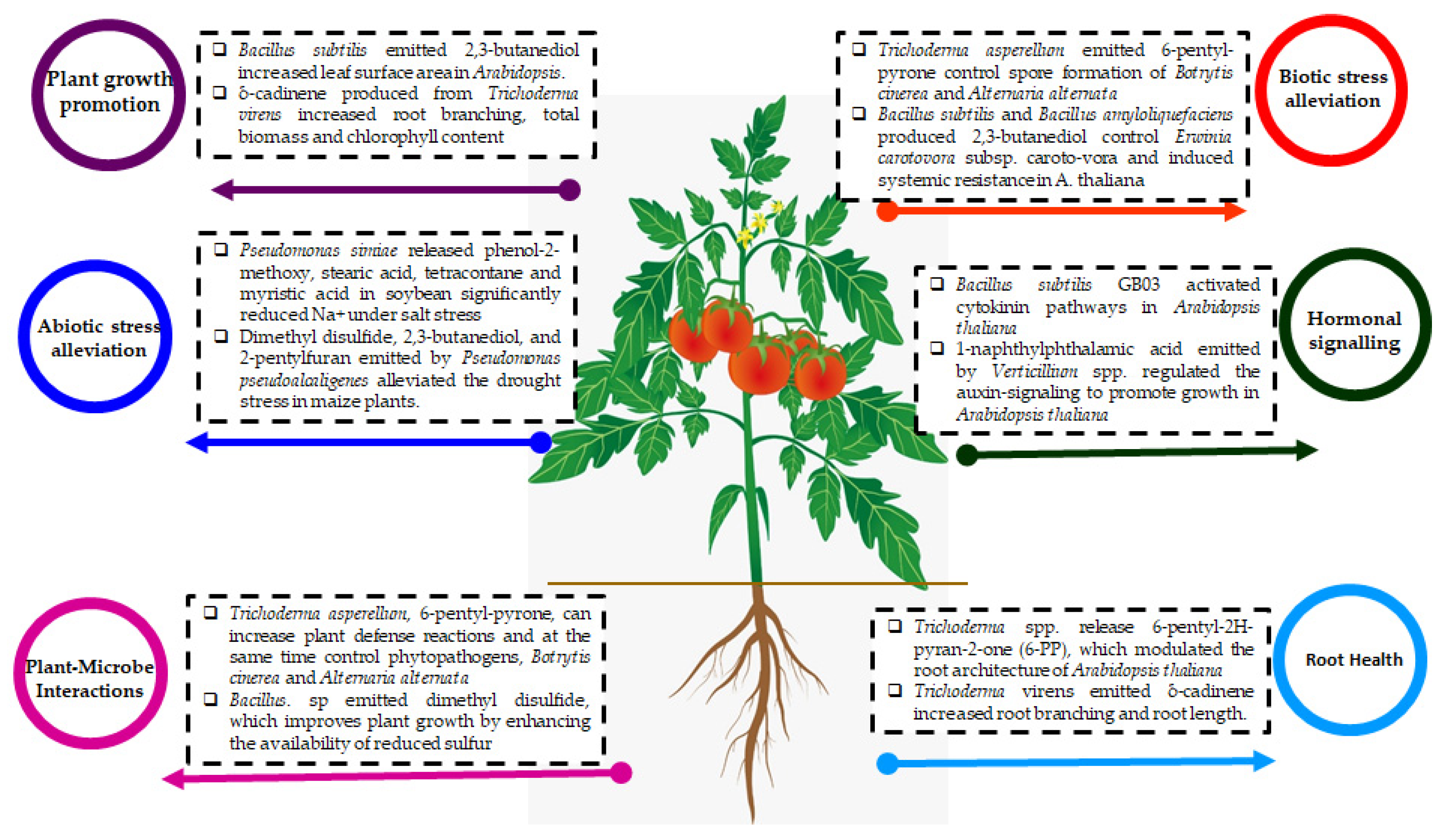 Microorganisms 11 00042 g001 Microorganisms 11 00042 g001