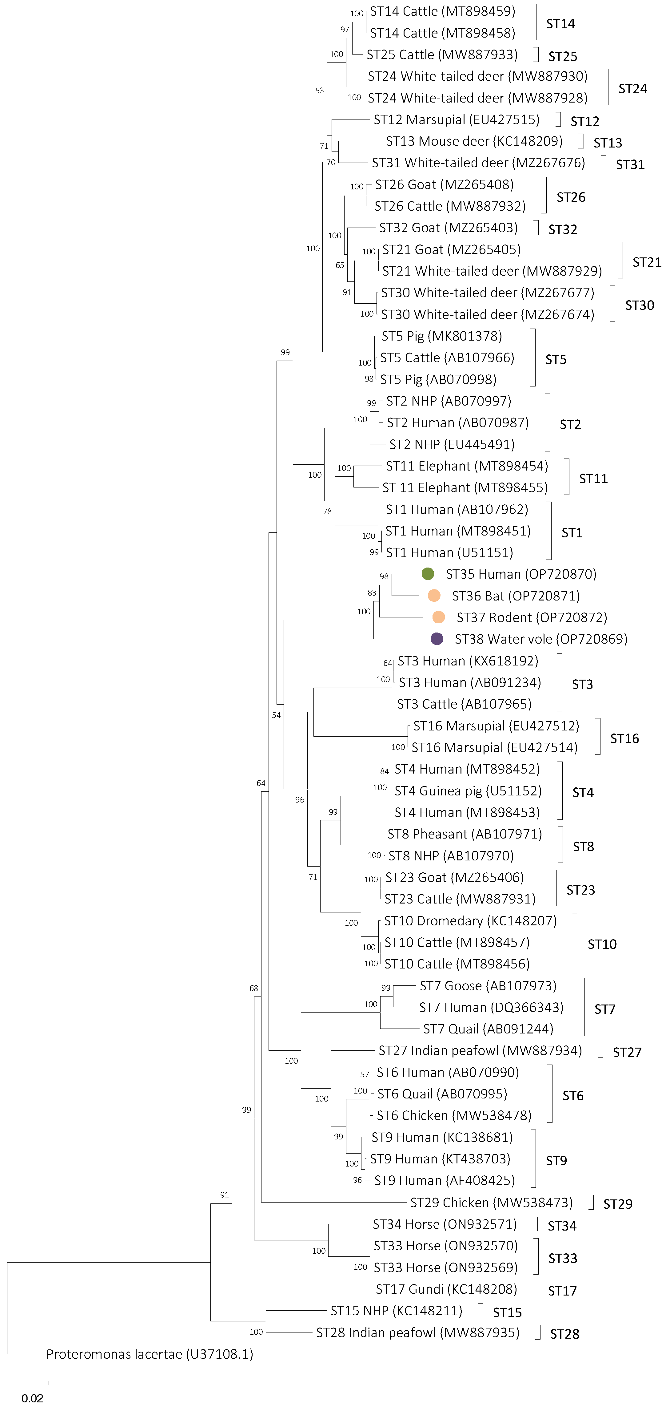 Microorganisms 11 00046 g001 Microorganisms 11 00046 g001
