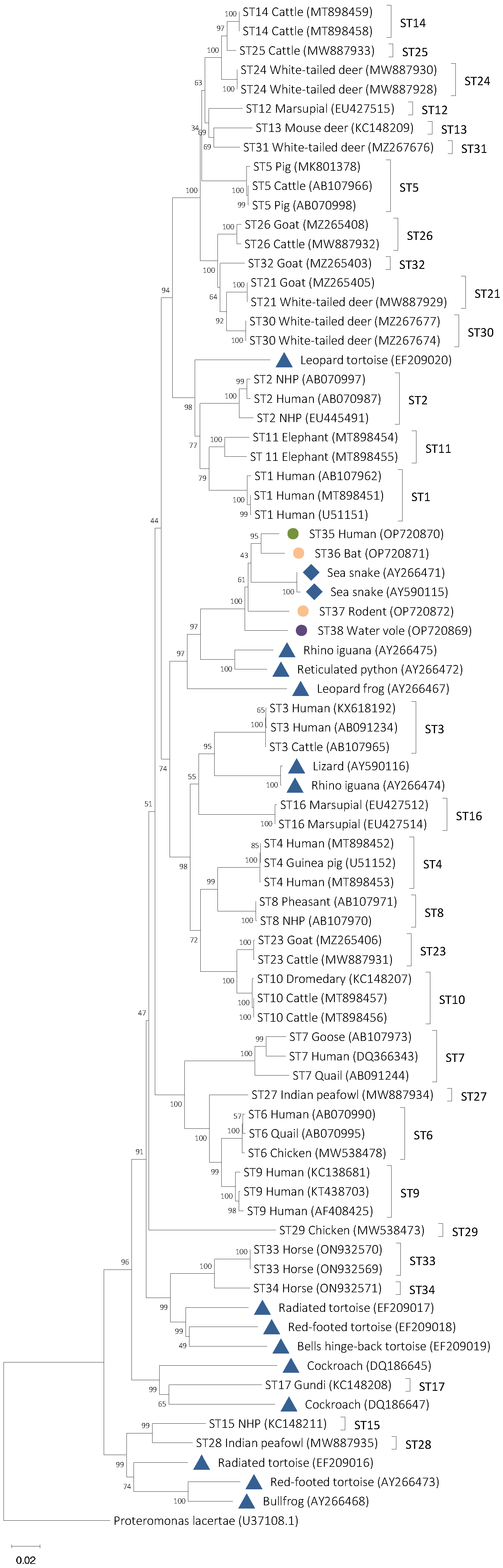Microorganisms 11 00046 g002 Microorganisms 11 00046 g002