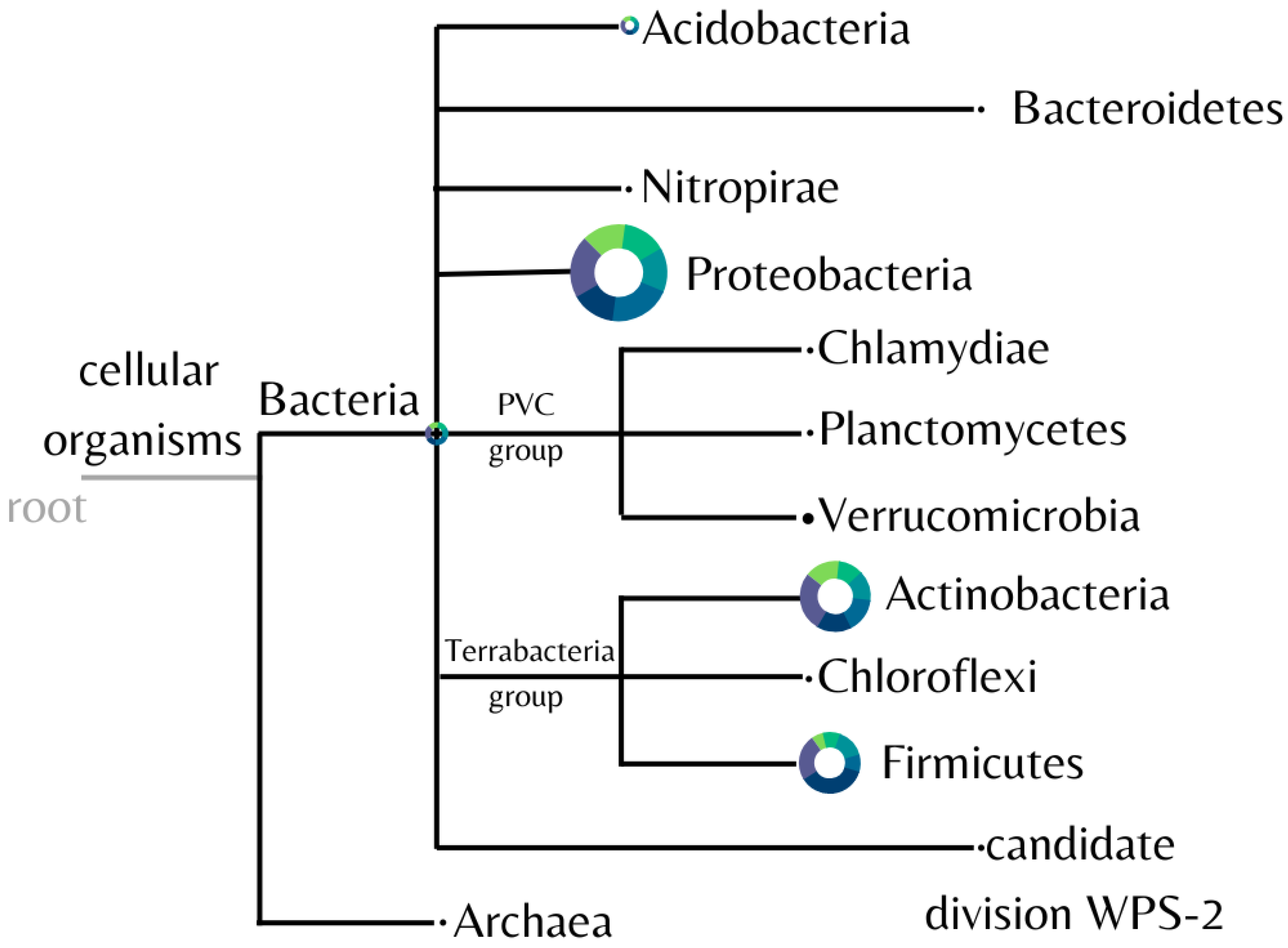 Microorganisms 11 00052 g004