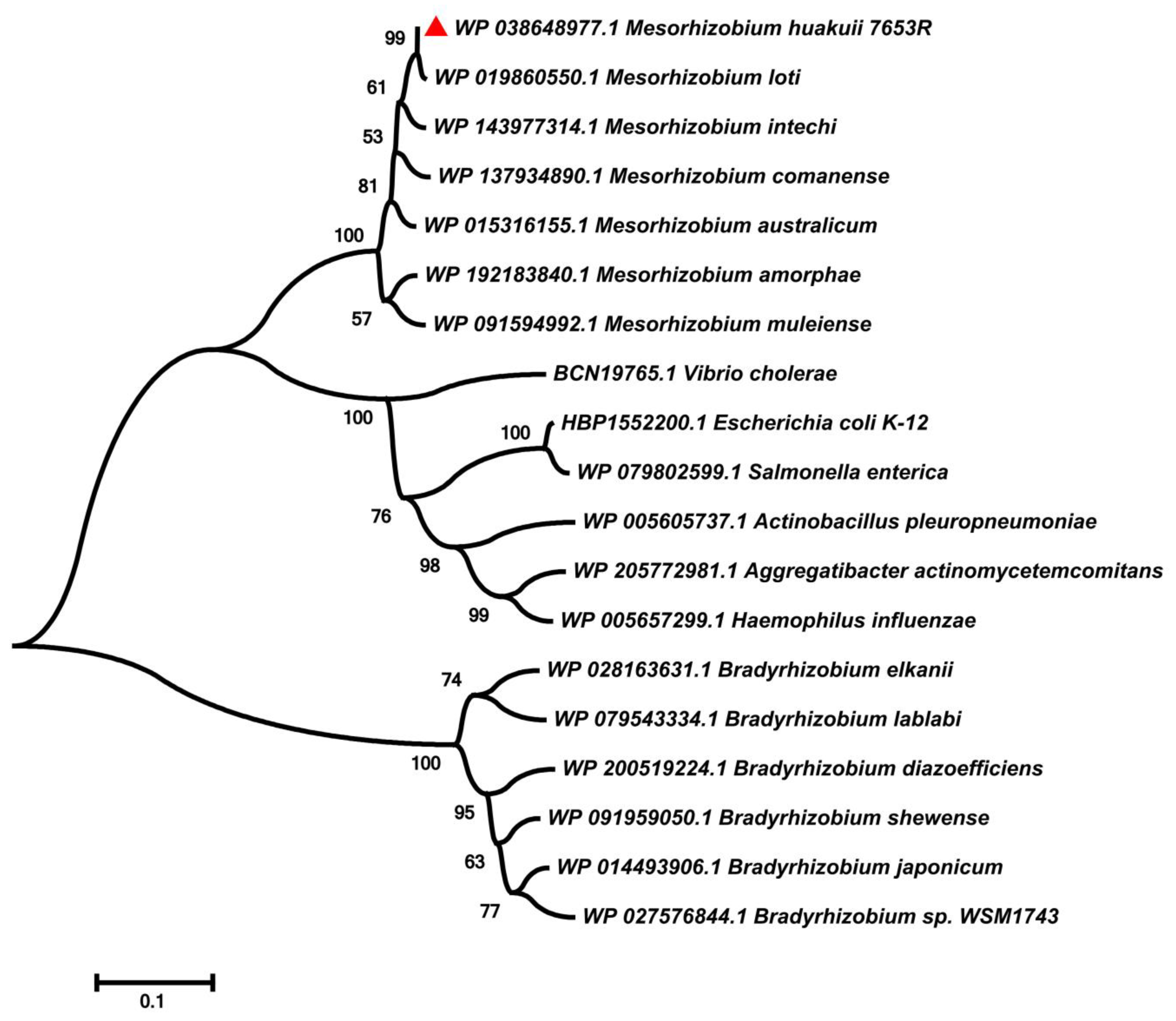 Microorganisms 11 00059 g002