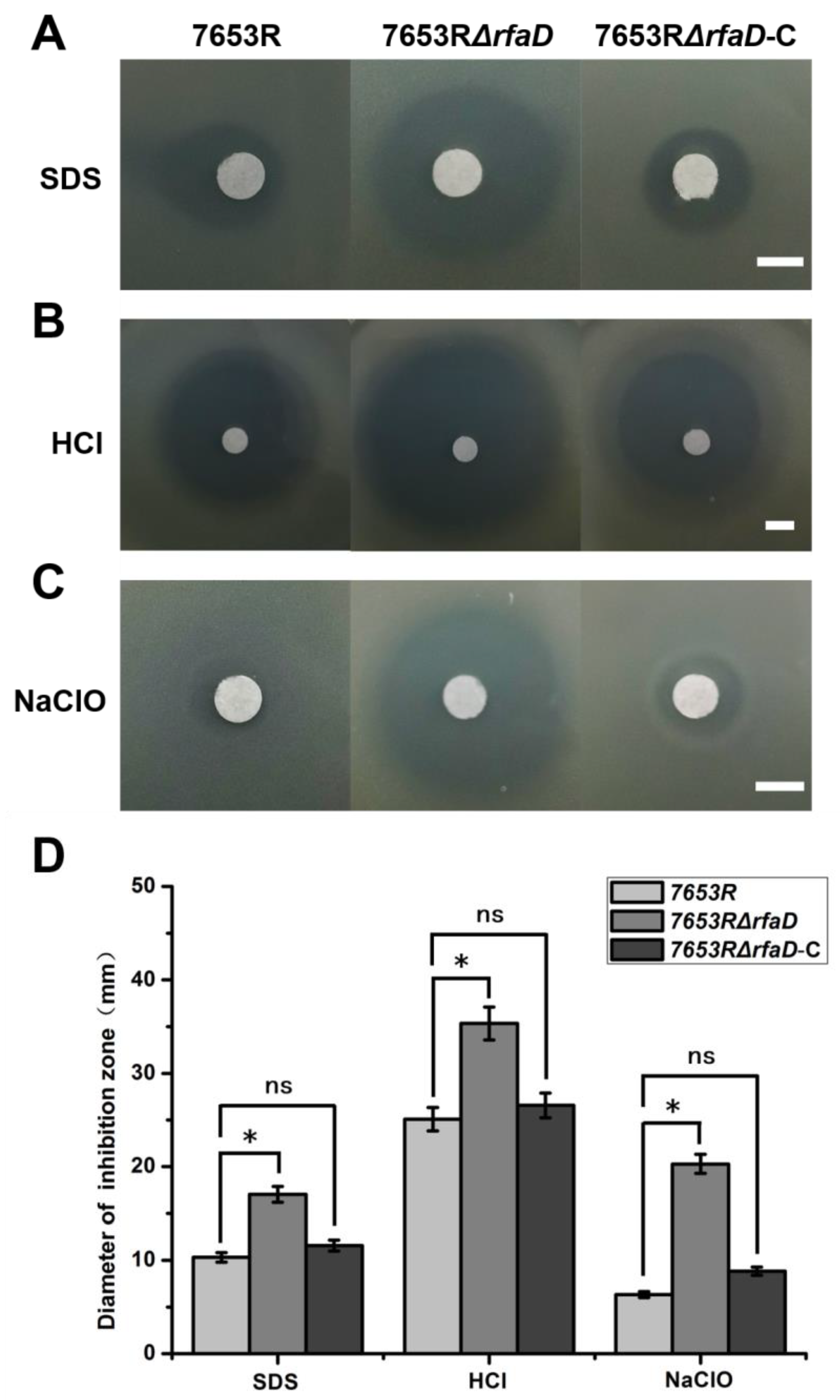 Microorganisms | Free Full-Text | A Lipopolysaccharide Synthesis Gene ...