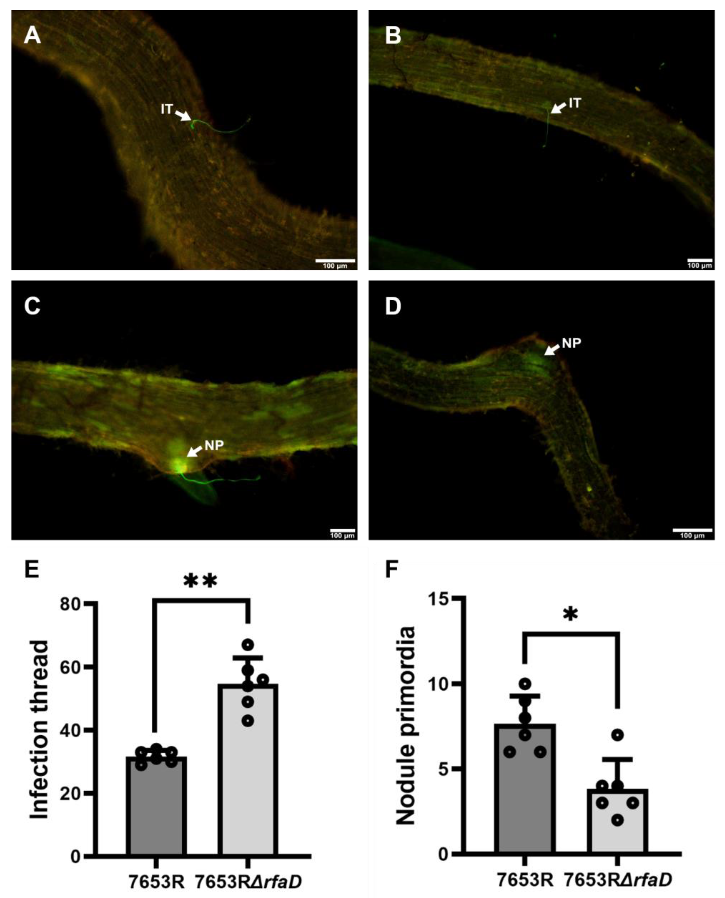 Microorganisms 11 00059 g005