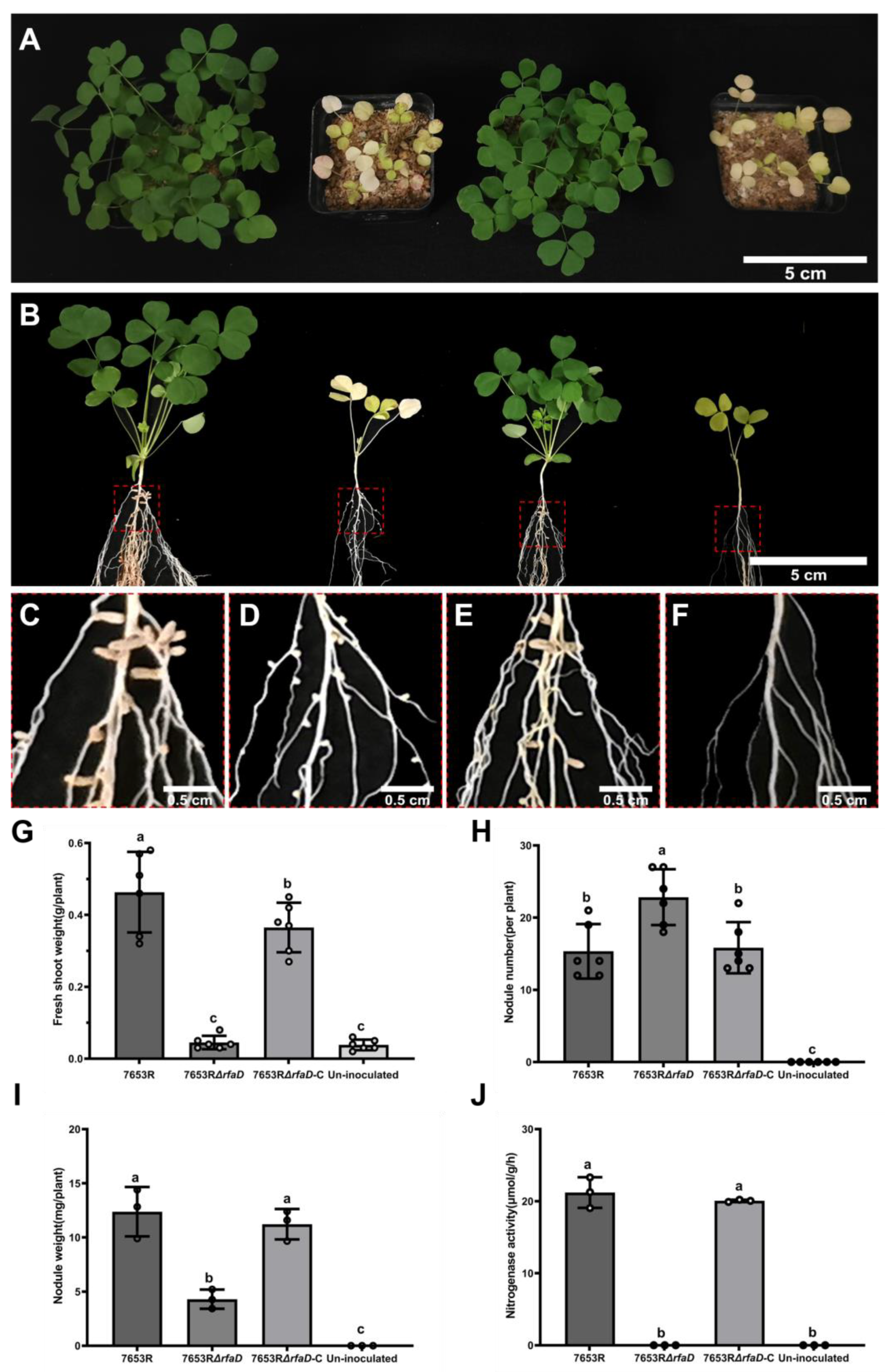 Microorganisms 11 00059 g006