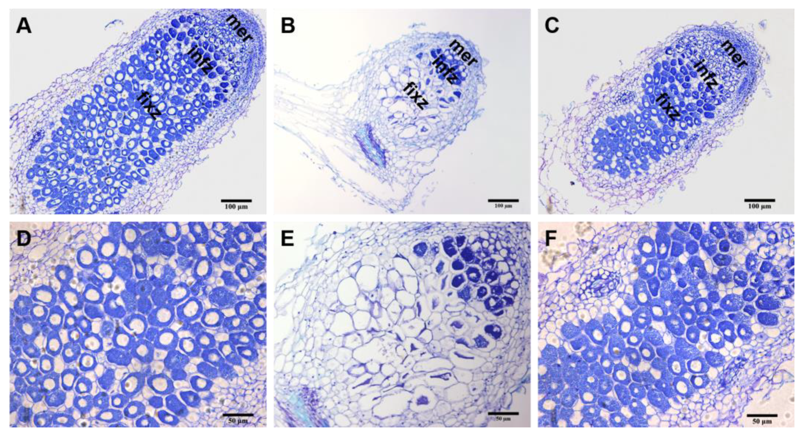 Microorganisms 11 00059 g007