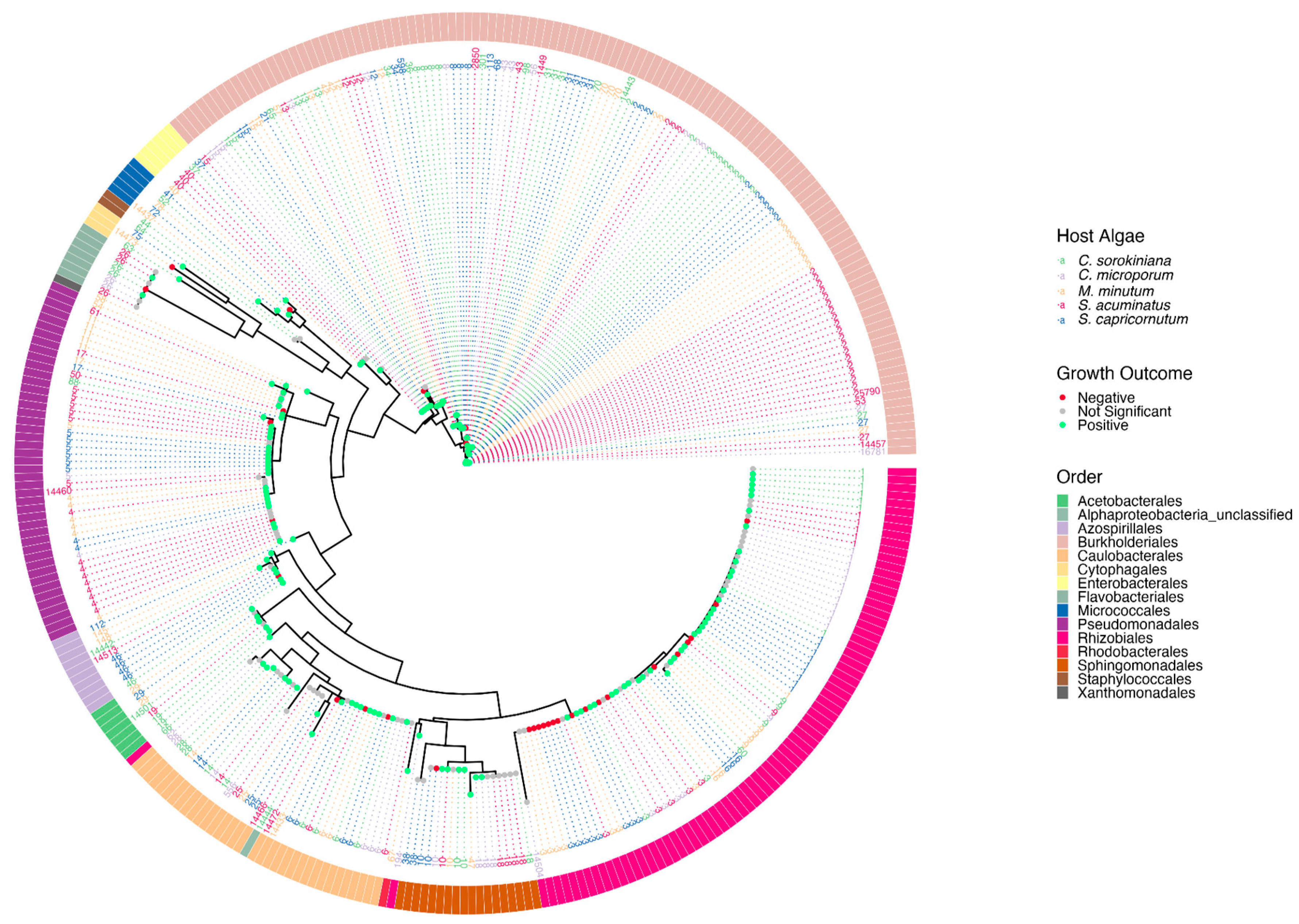Microorganisms 11 00062 g004 Microorganisms 11 00062 g004
