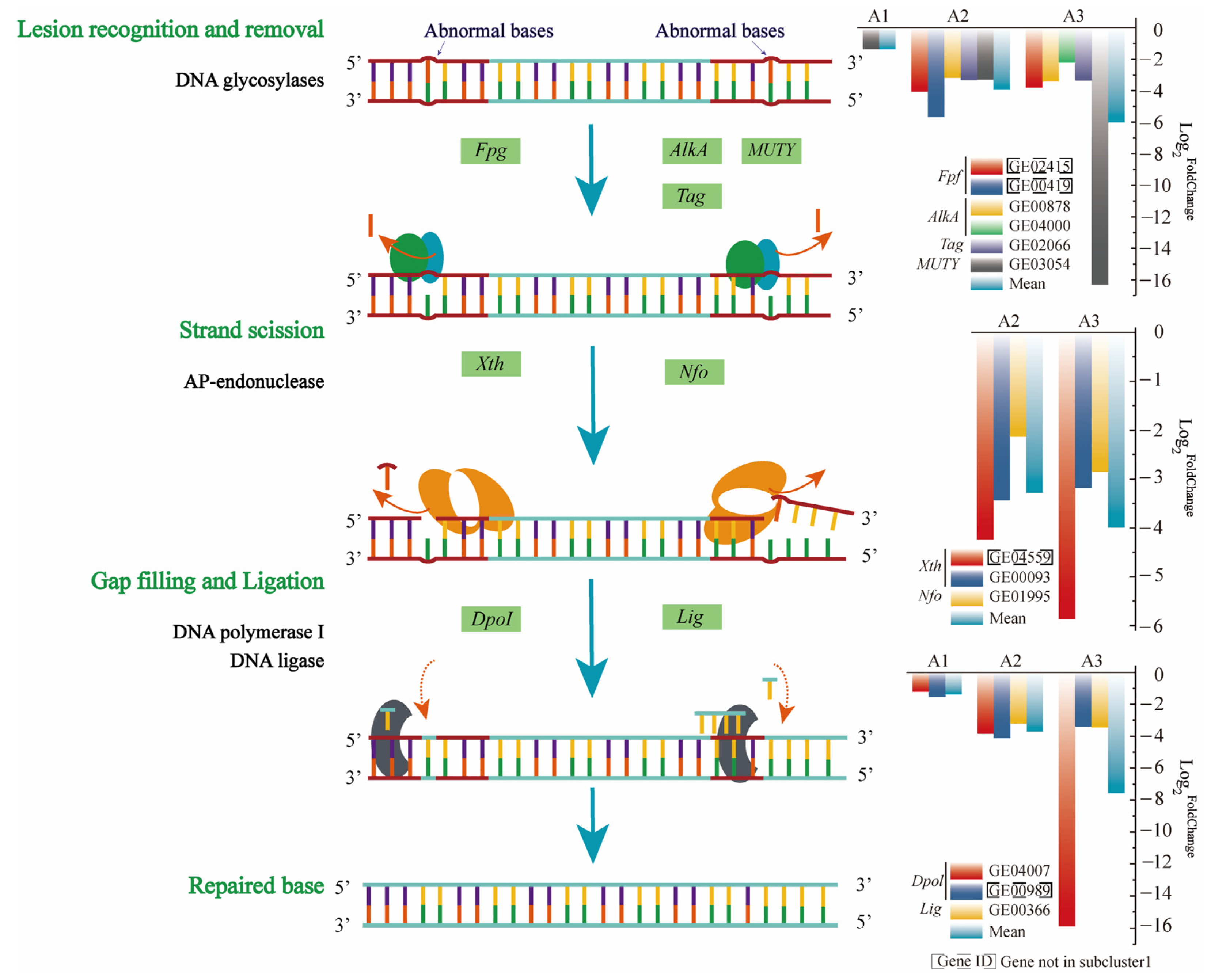Microorganisms 11 00067 g005