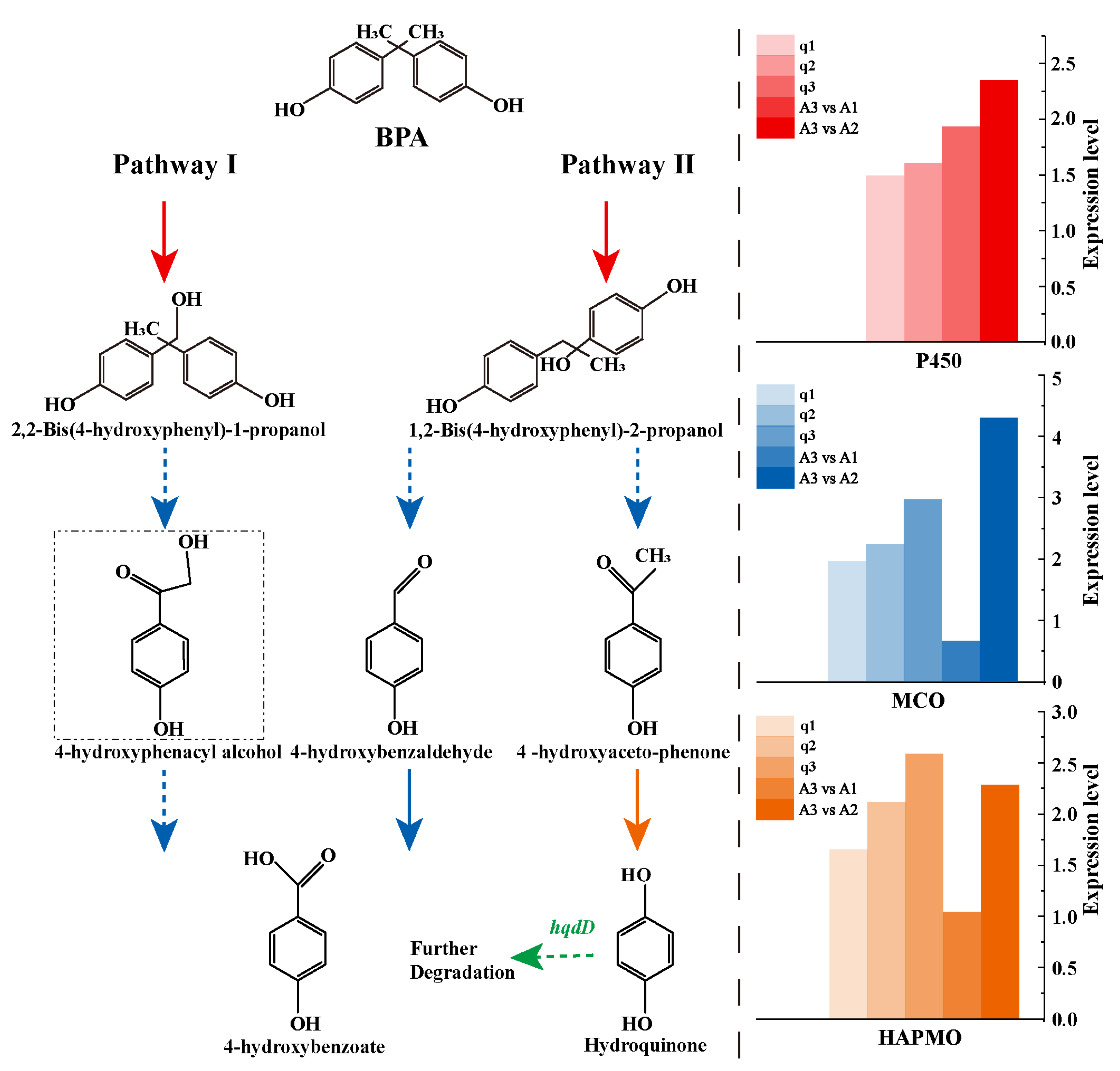 Microorganisms 11 00067 g007