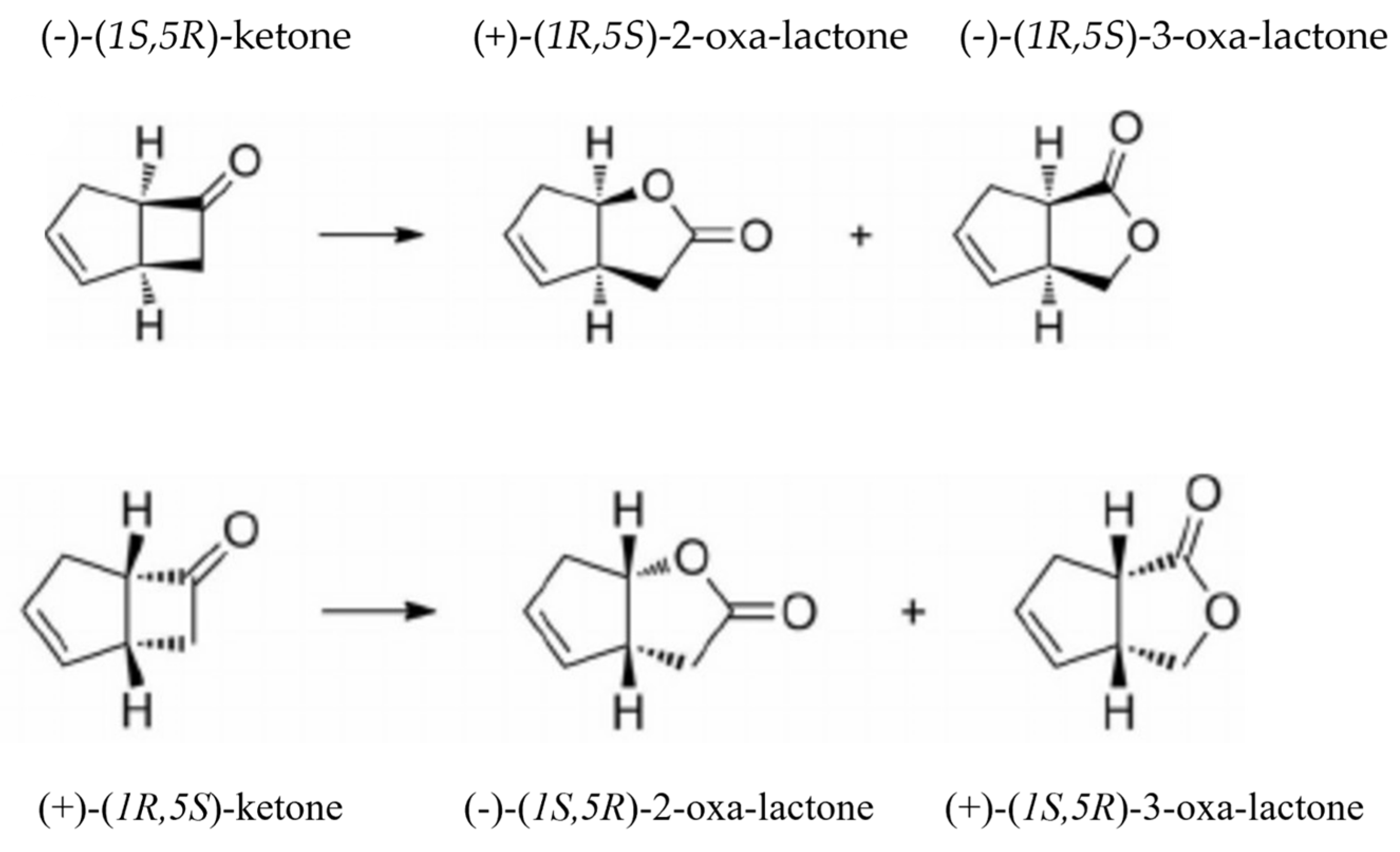 Microorganisms 11 00071 g002 Microorganisms 11 00071 g002