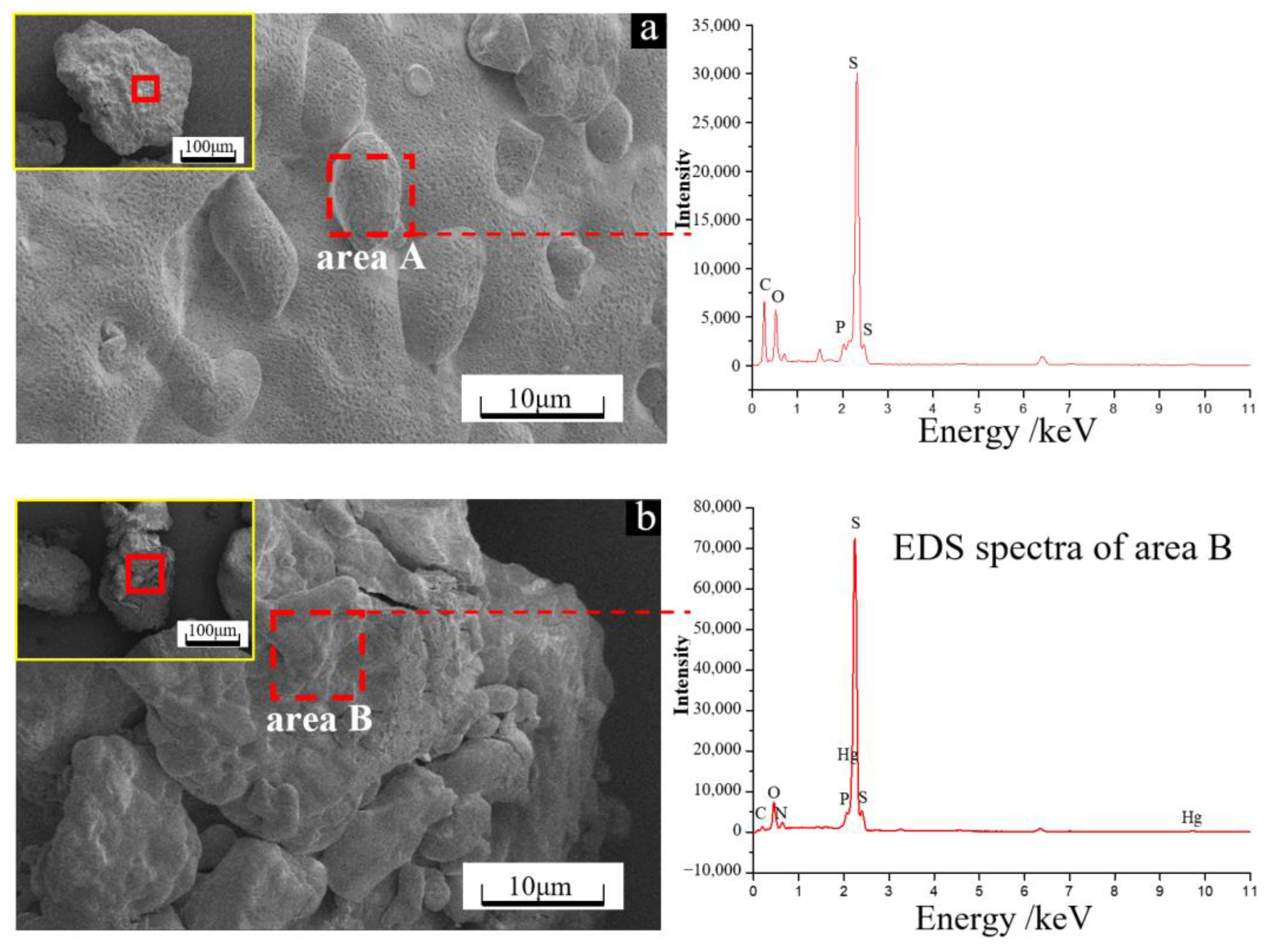 Microorganisms 11 00072 g005 Microorganisms 11 00072 g005