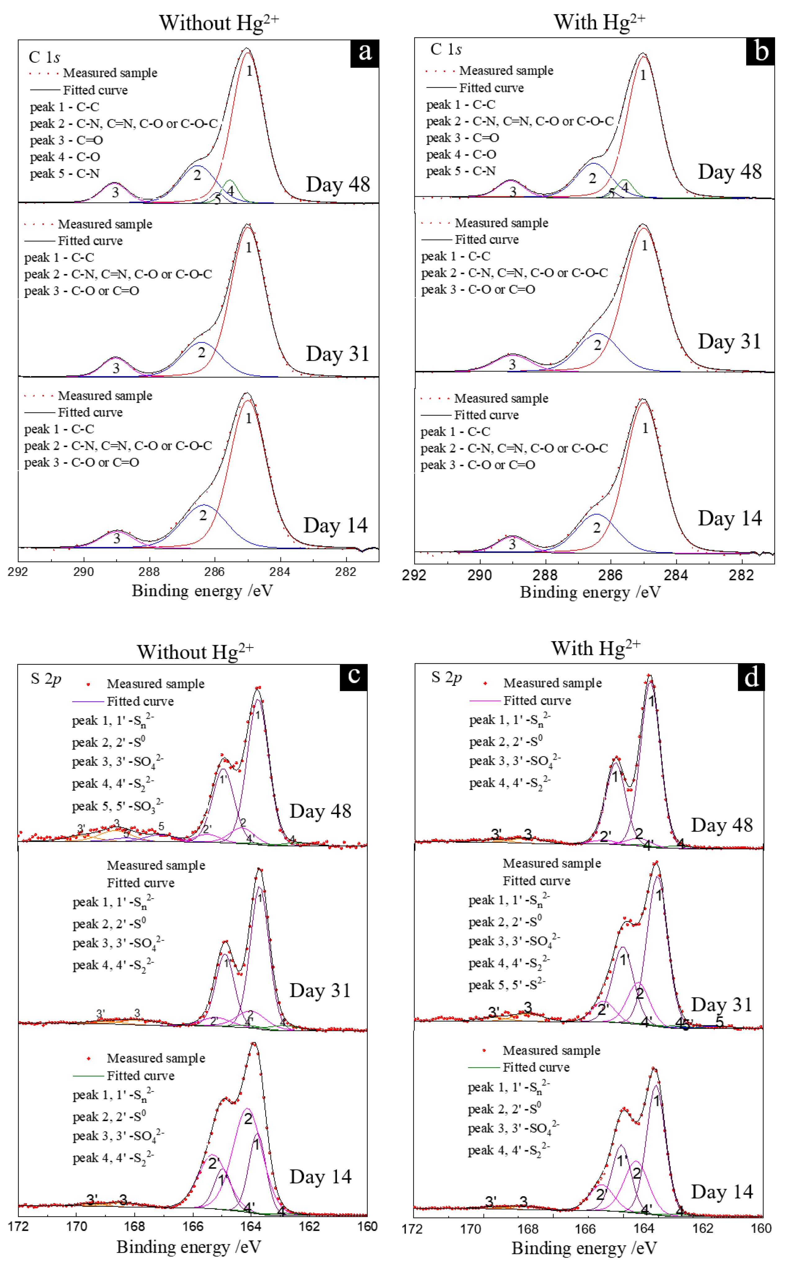 Microorganisms 11 00072 g007a Microorganisms 11 00072 g007a