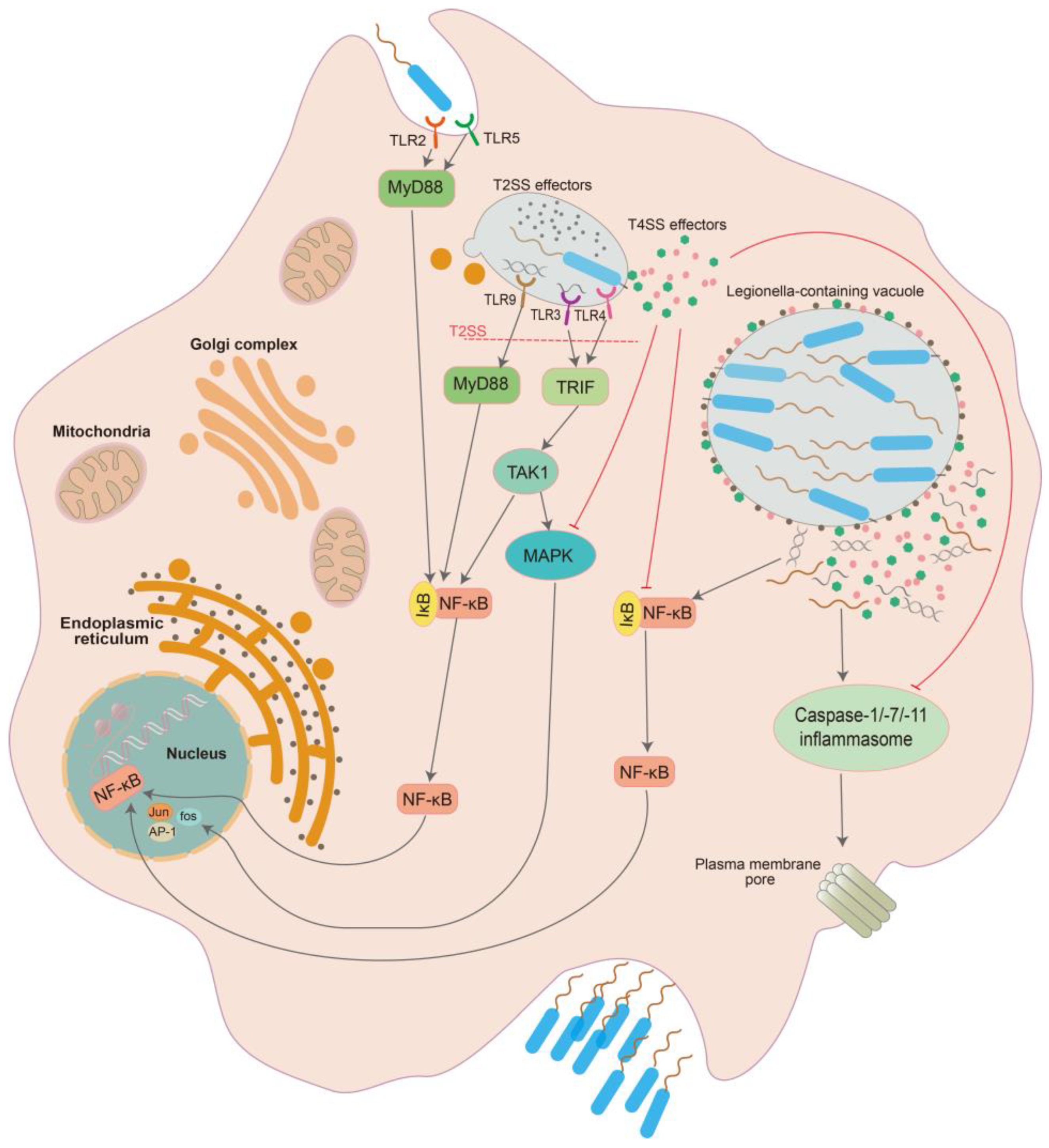 Microorganisms 11 00074 g001