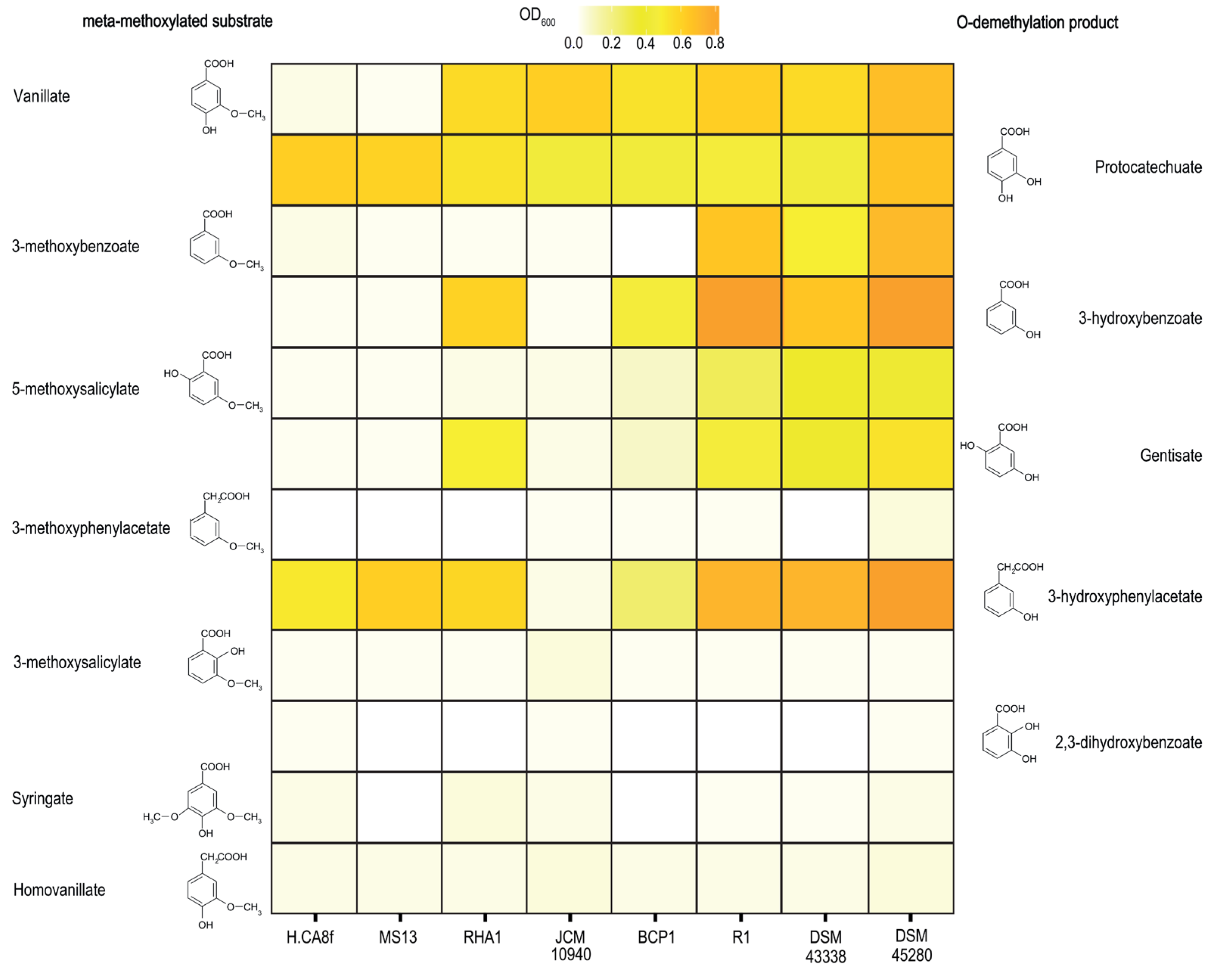 Microorganisms 11 00078 g004