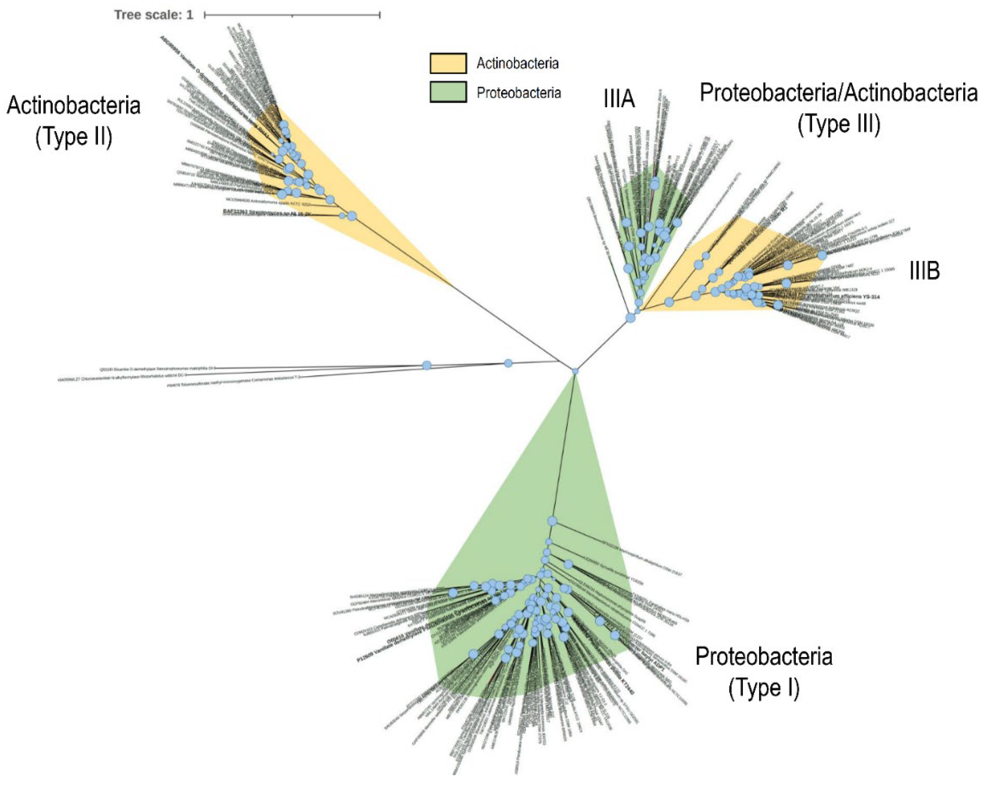 Microorganisms 11 00078 g005