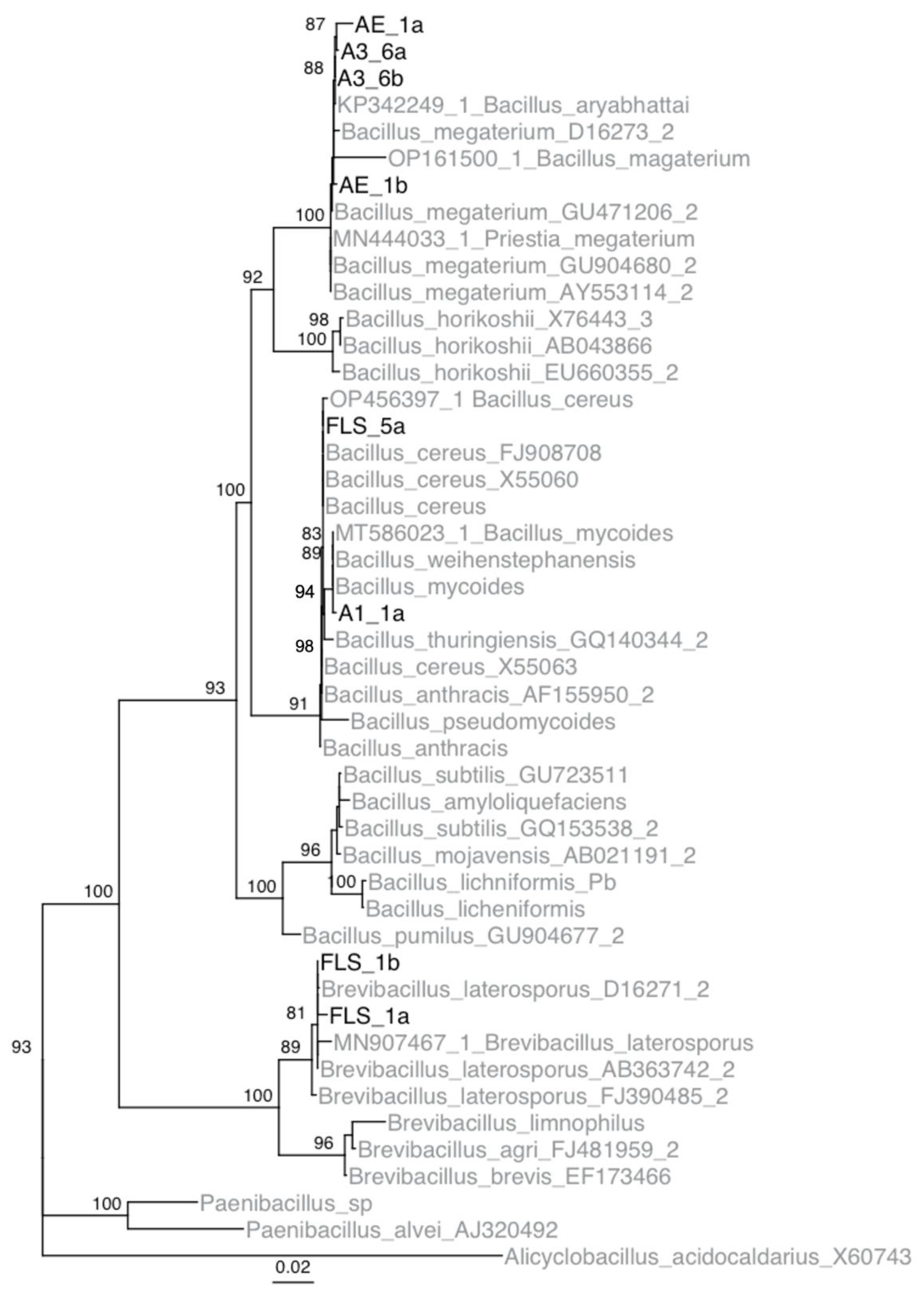 Microorganisms 11 00081 g002