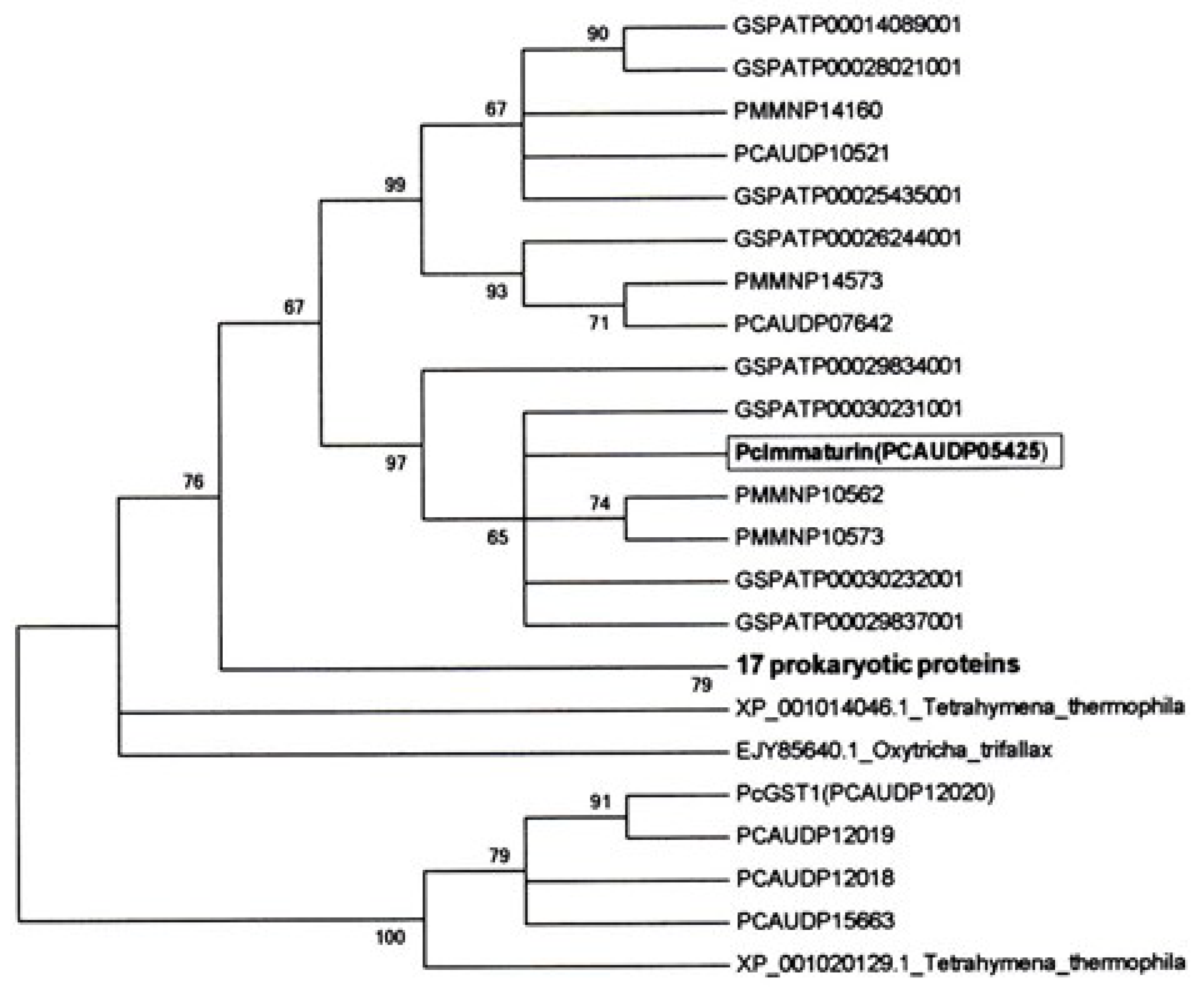 Microorganisms 11 00082 g005 Microorganisms 11 00082 g005