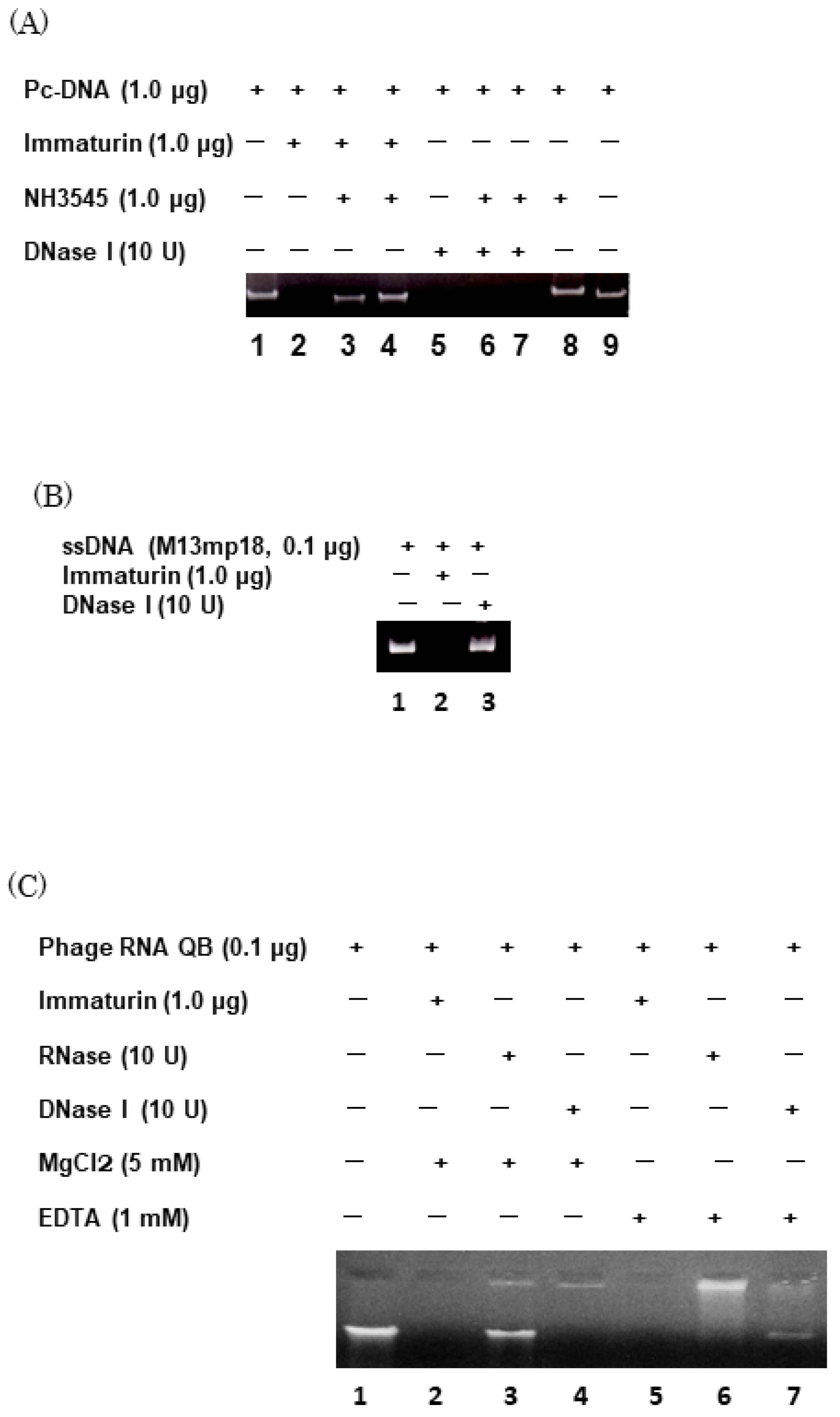 Microorganisms 11 00082 g007 Microorganisms 11 00082 g007