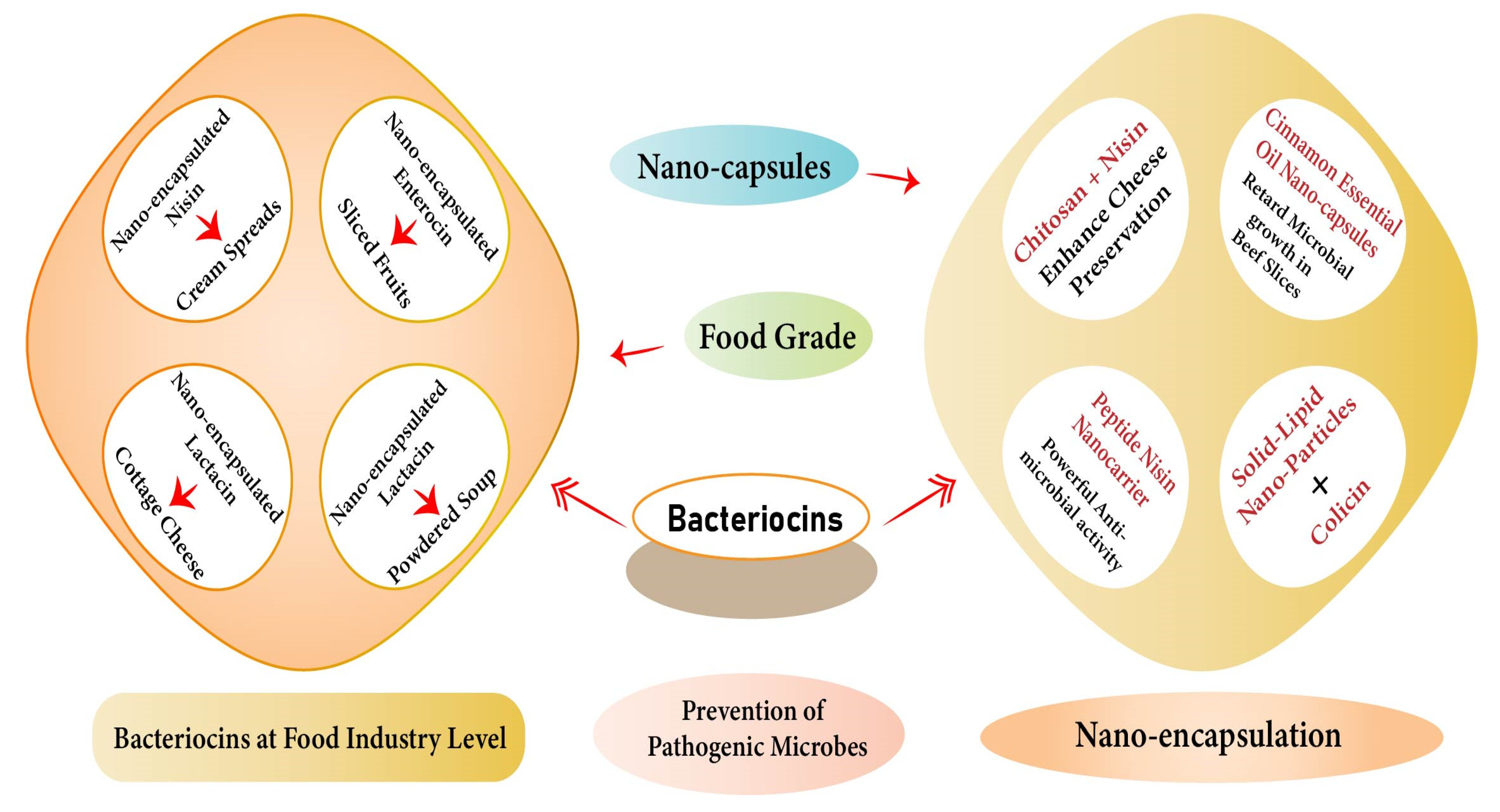 Microorganisms 11 00085 g001