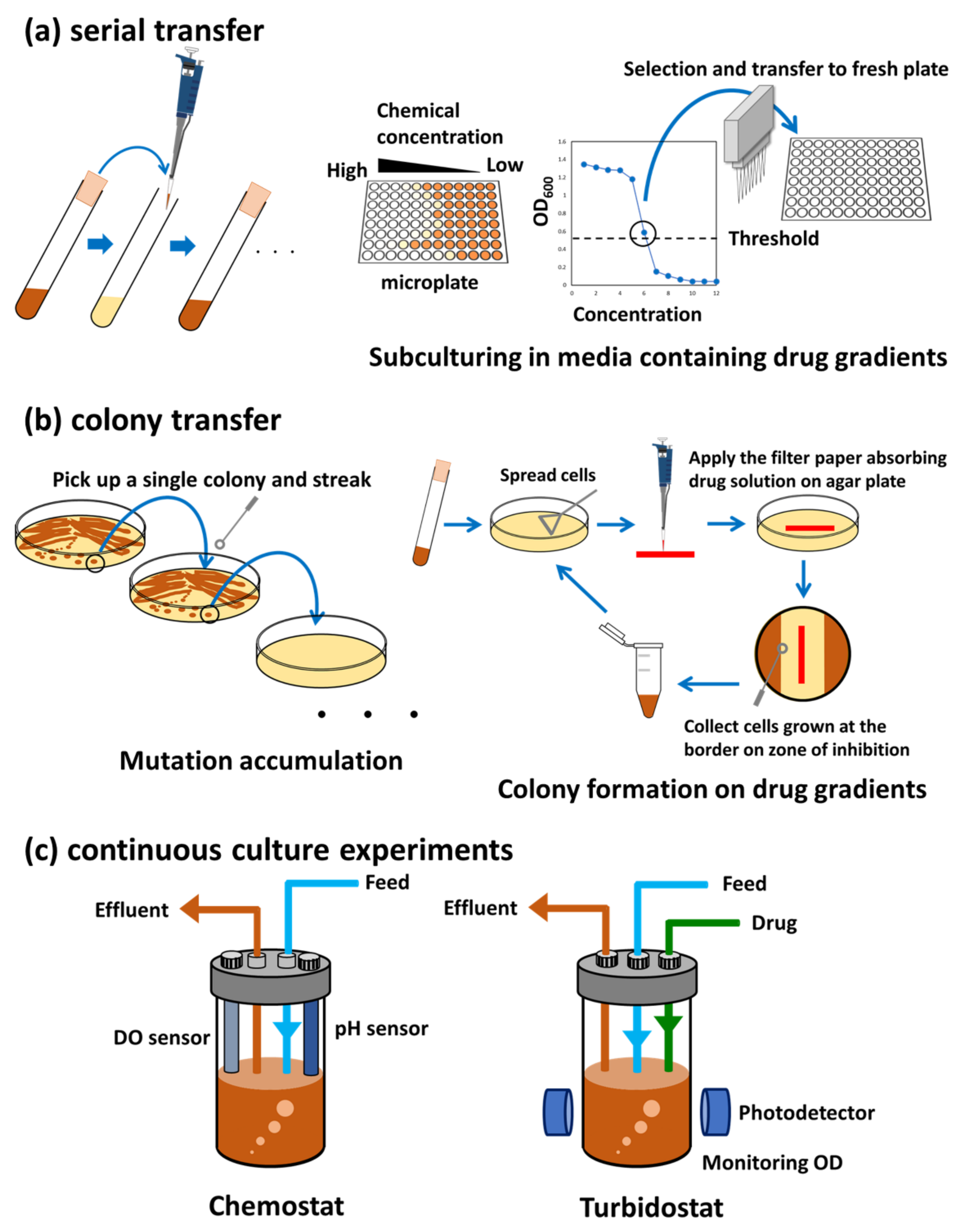 Microorganisms 11 00092 g001