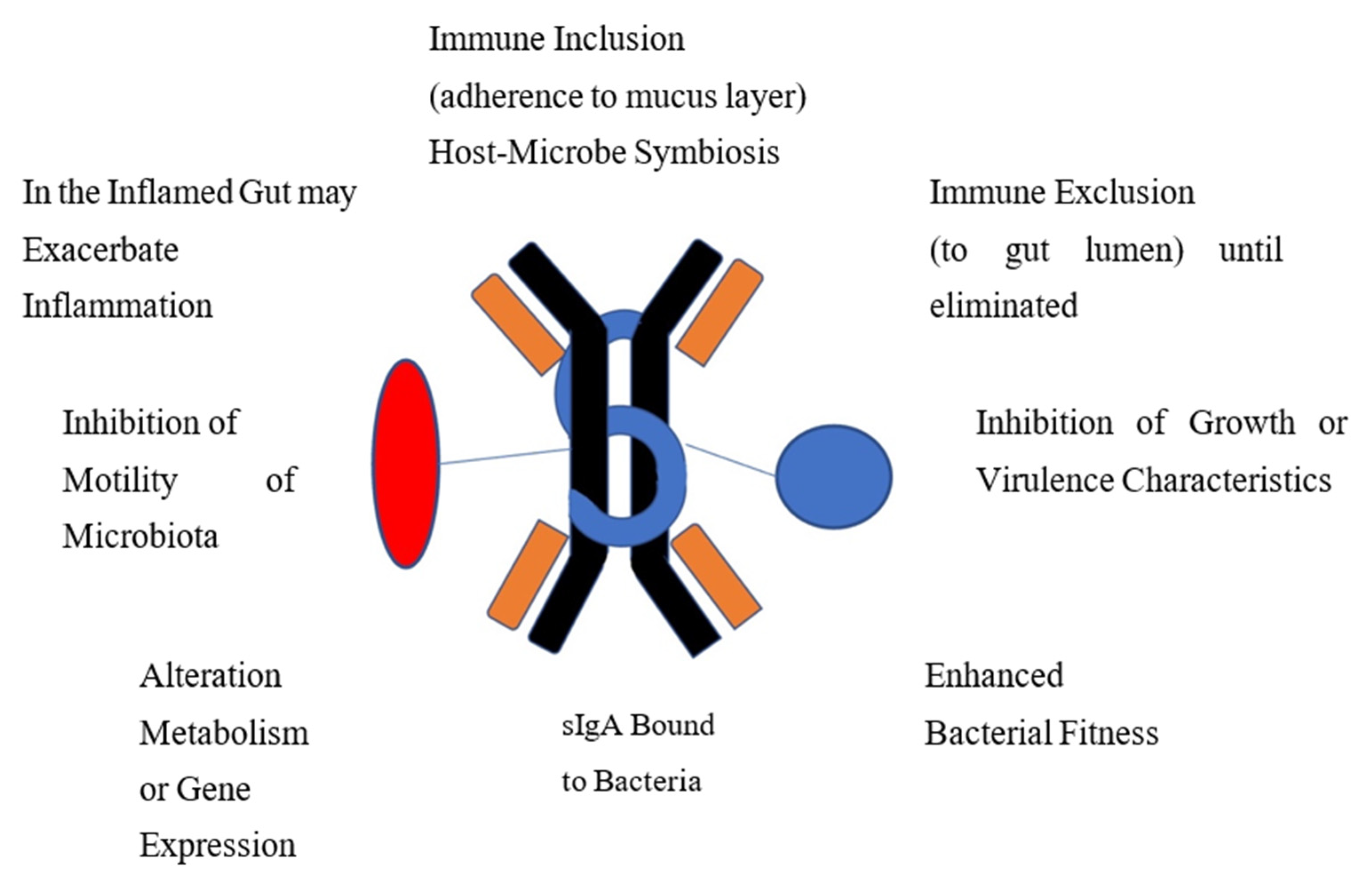 Microbial ecology perturbation in human IgA deficiency