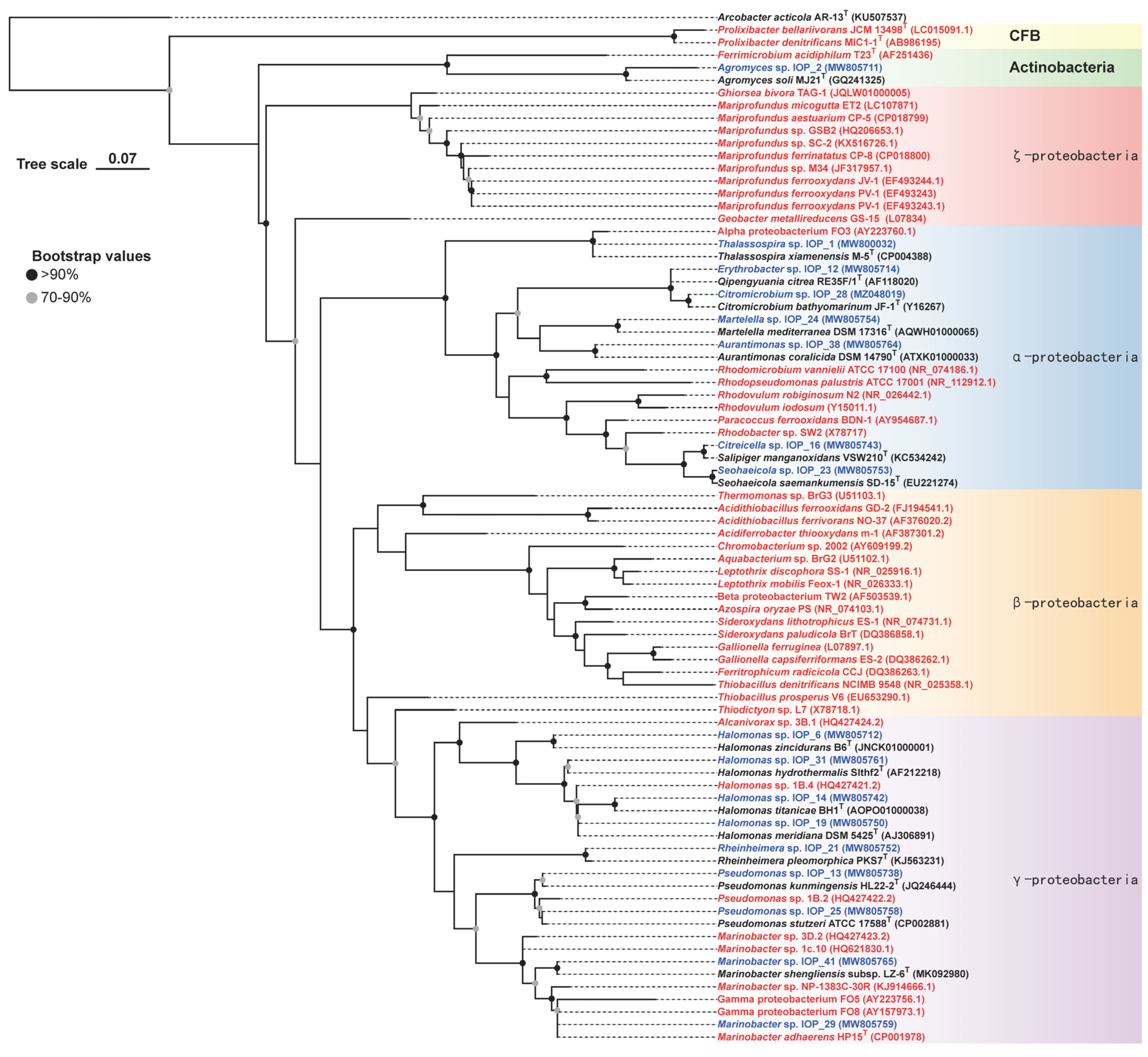 Microorganisms 11 00100 g001