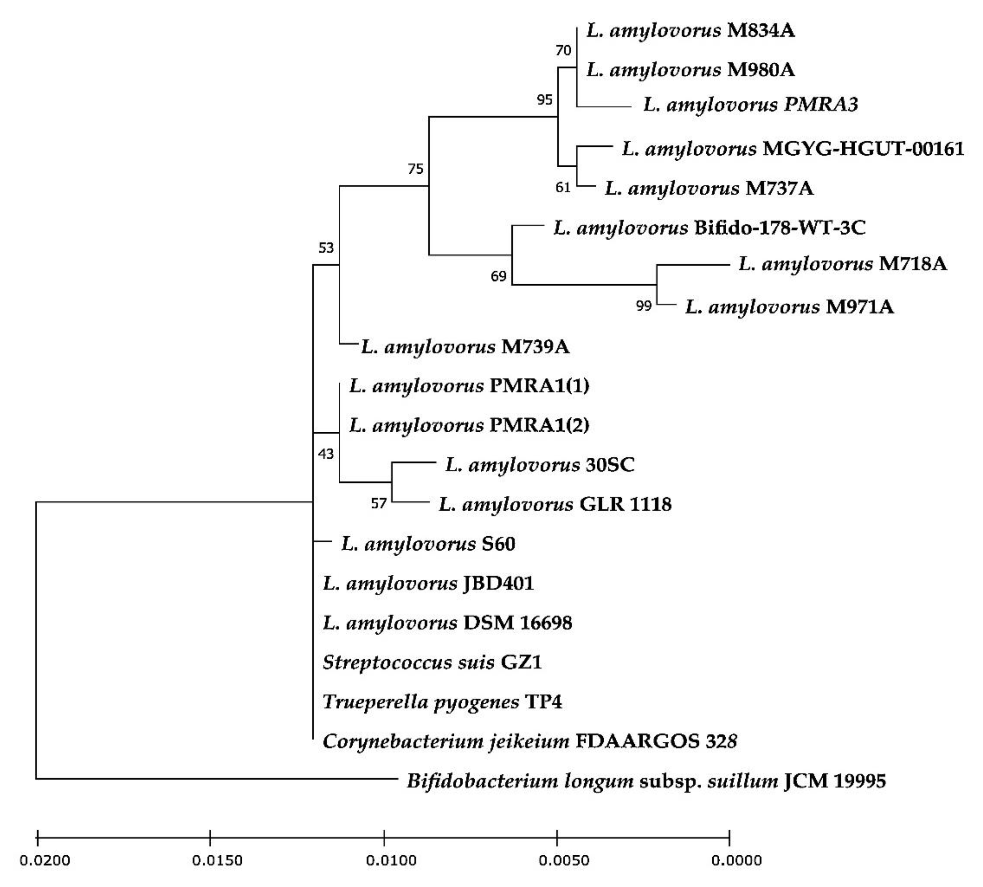 Microorganisms 11 00103 g001