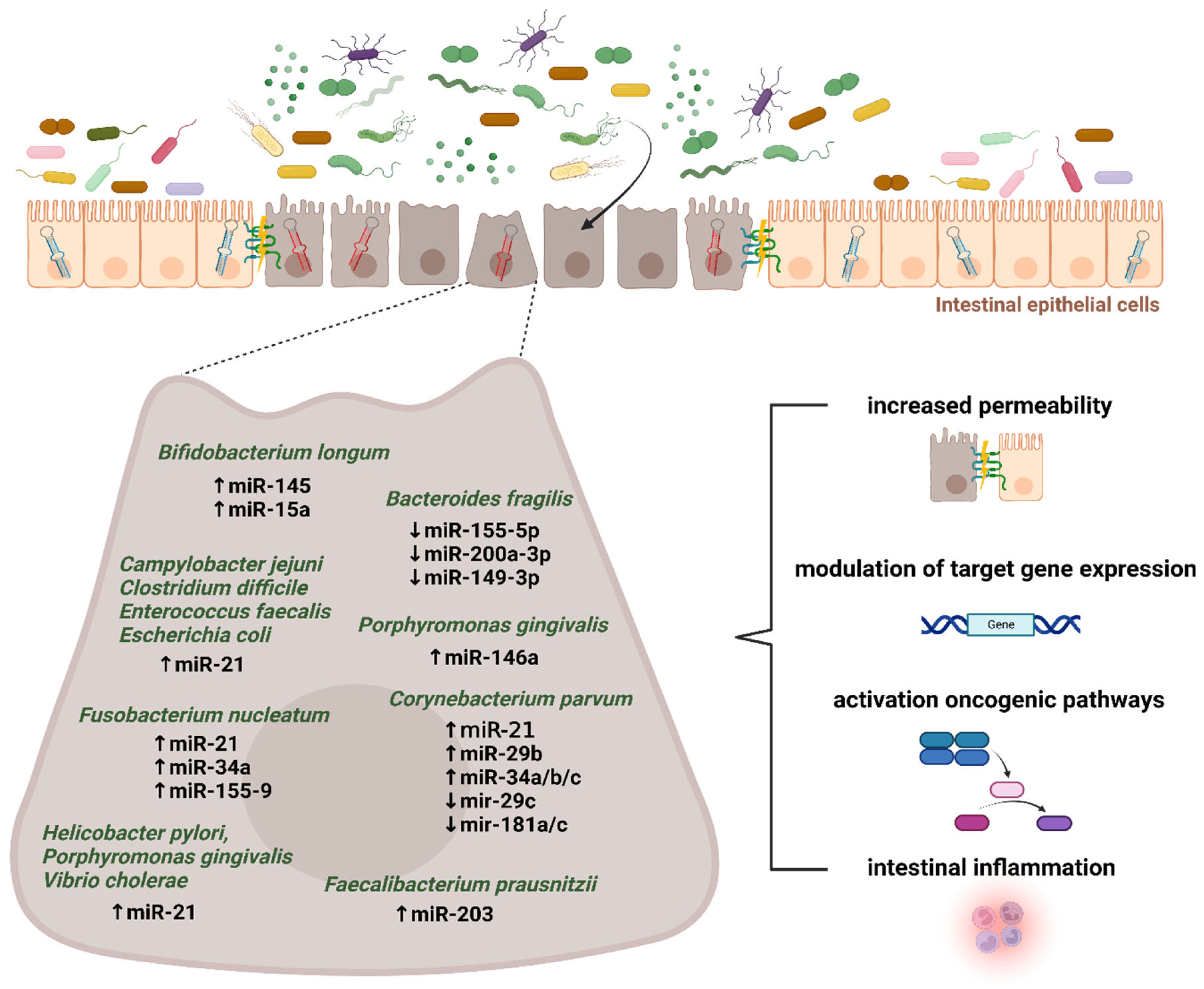 Microorganisms 11 00107 g003 Microorganisms 11 00107 g003