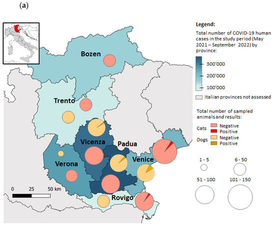 One-Year Surveillance of SARS-CoV-2 Exposure in Stray Cats and