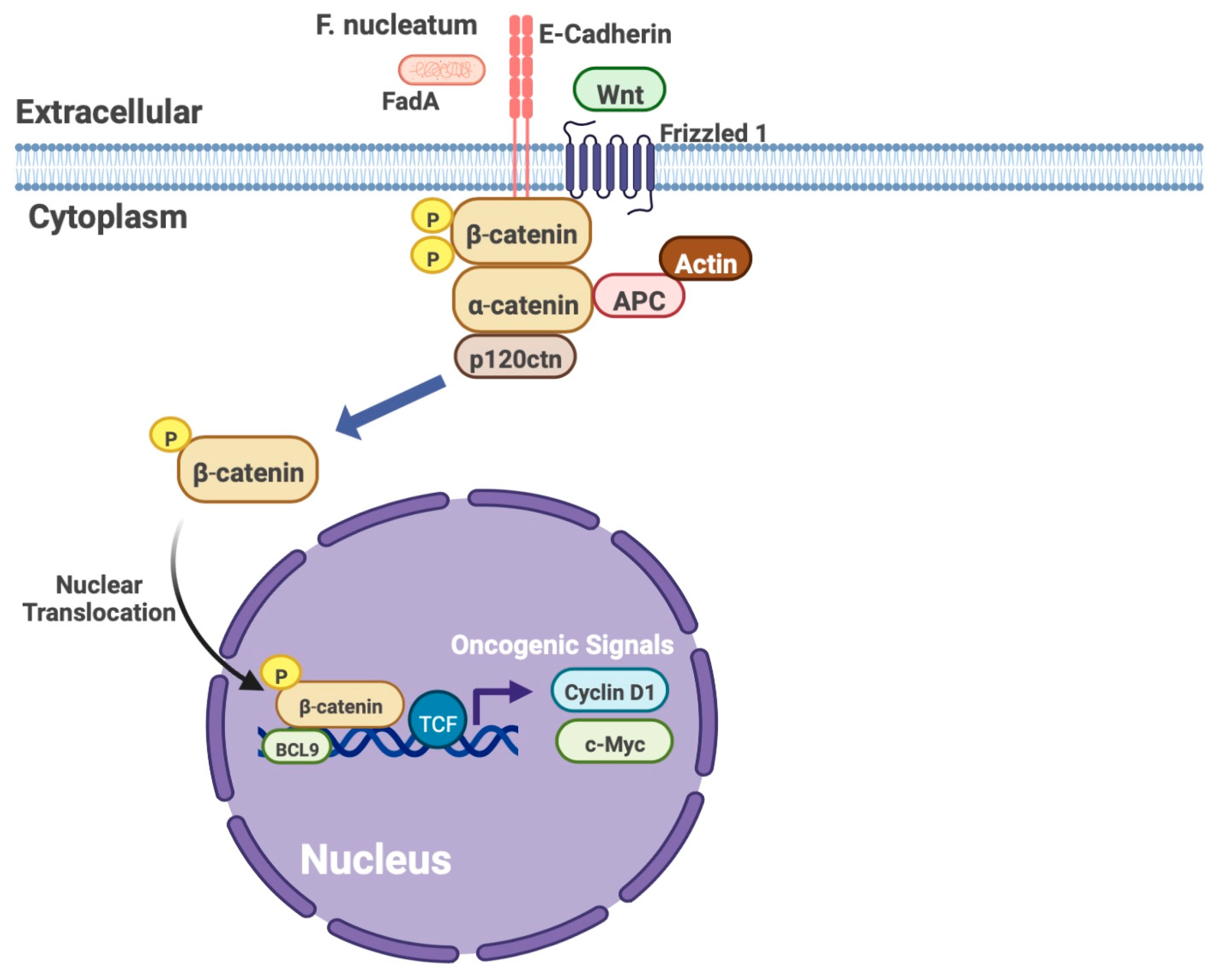 Microorganisms 11 00115 g002