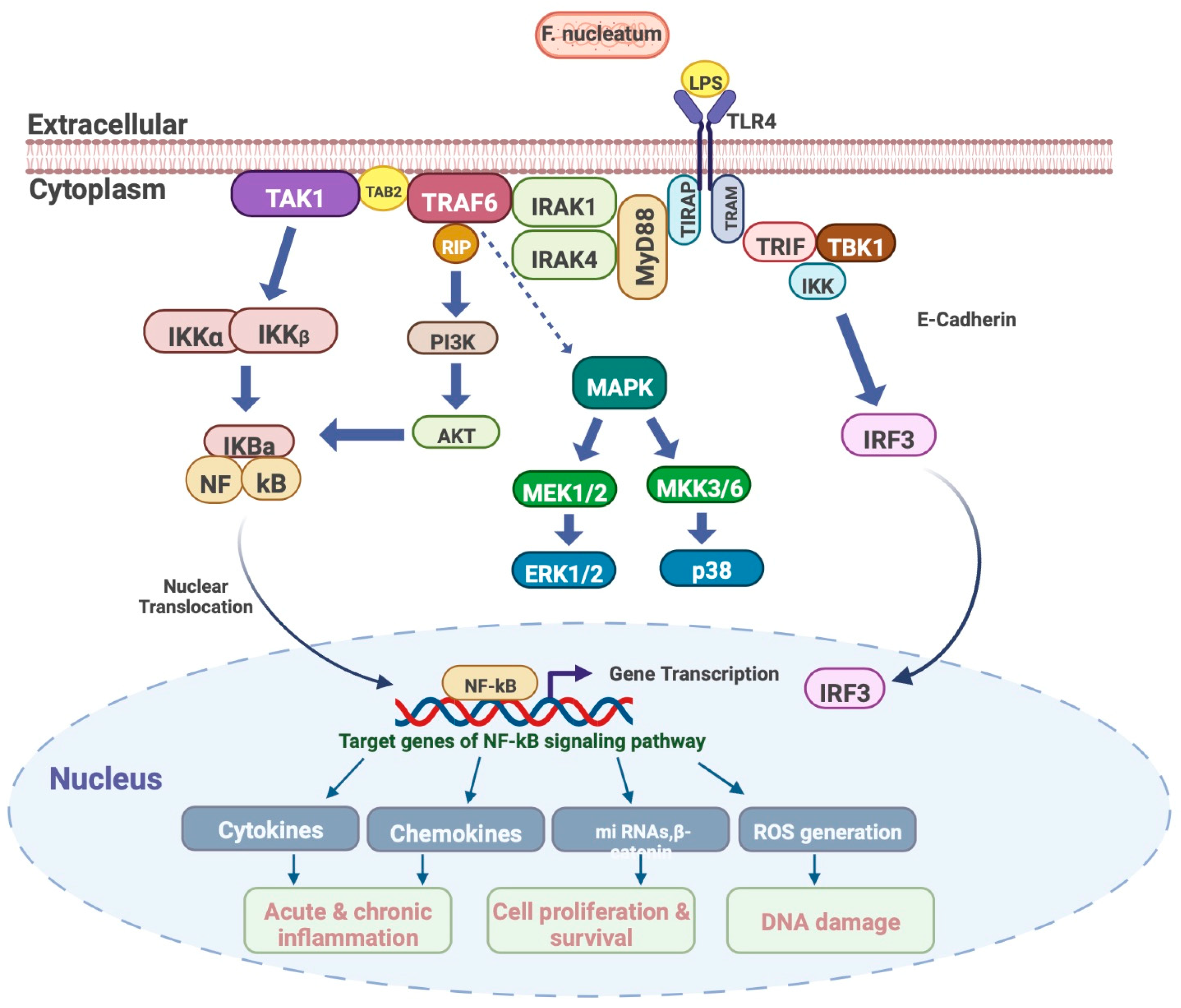 Microorganisms 11 00115 g003