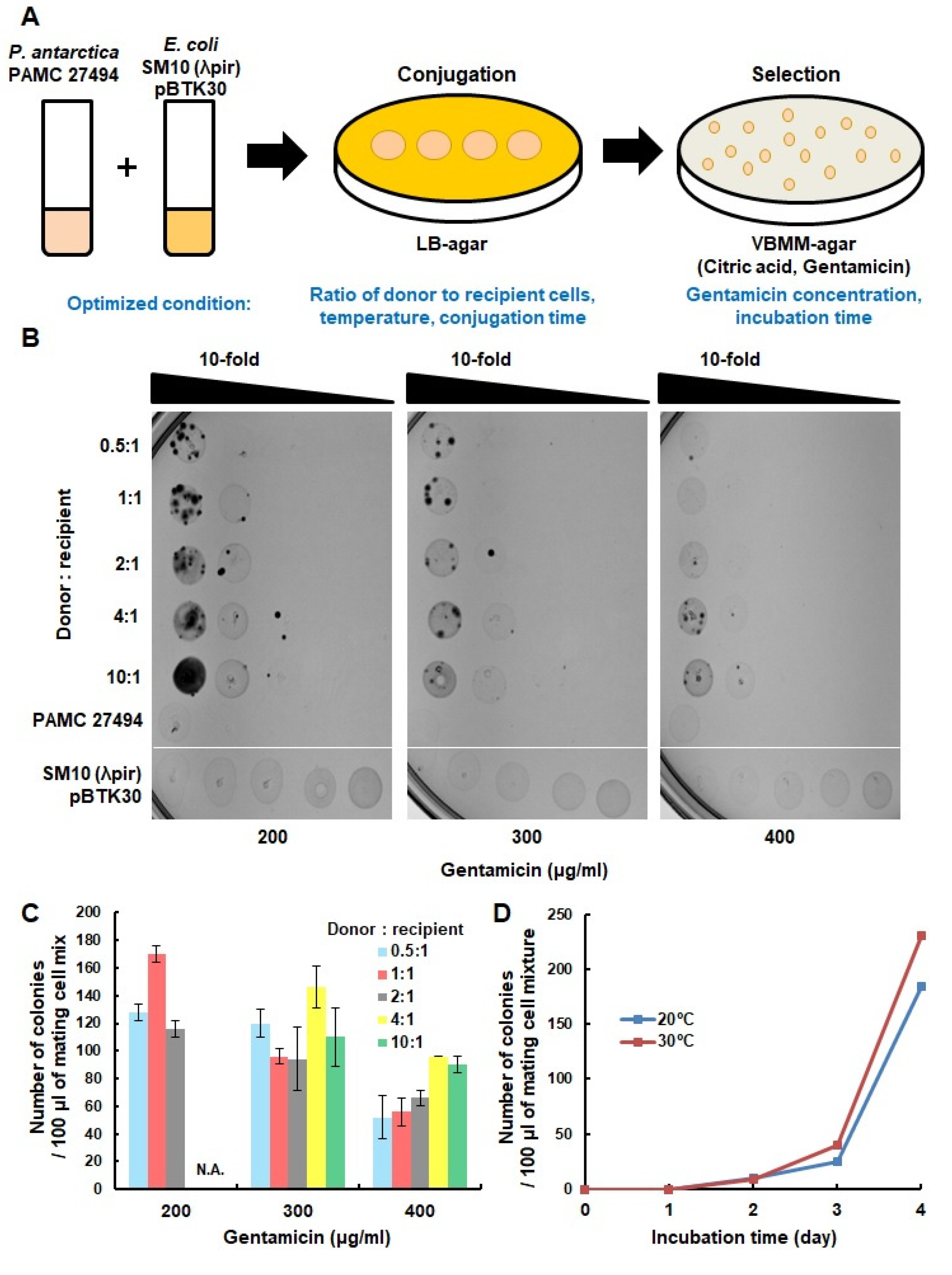 Microorganisms 11 00118 g001 Microorganisms 11 00118 g001