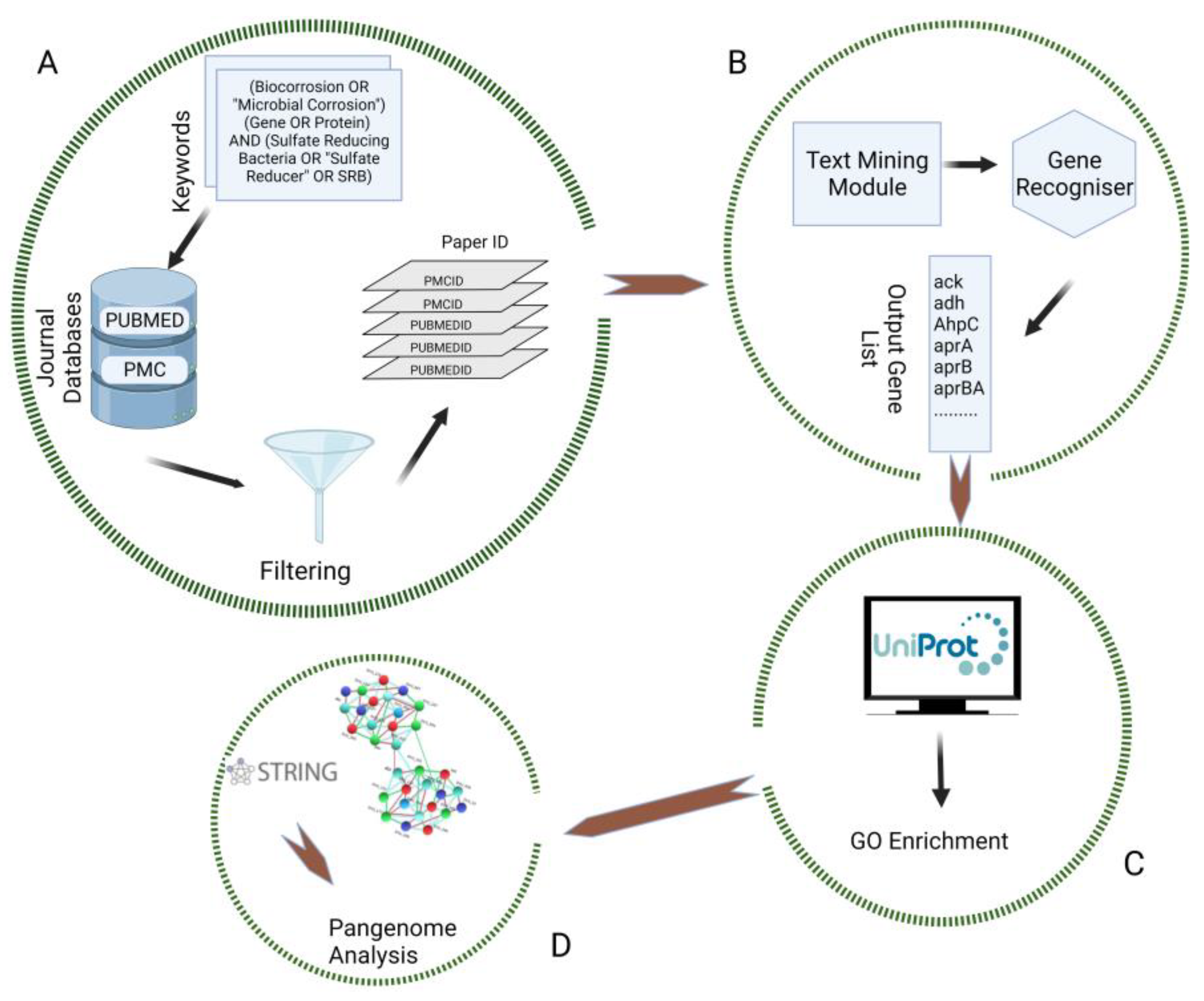Microorganisms 11 00119 g001