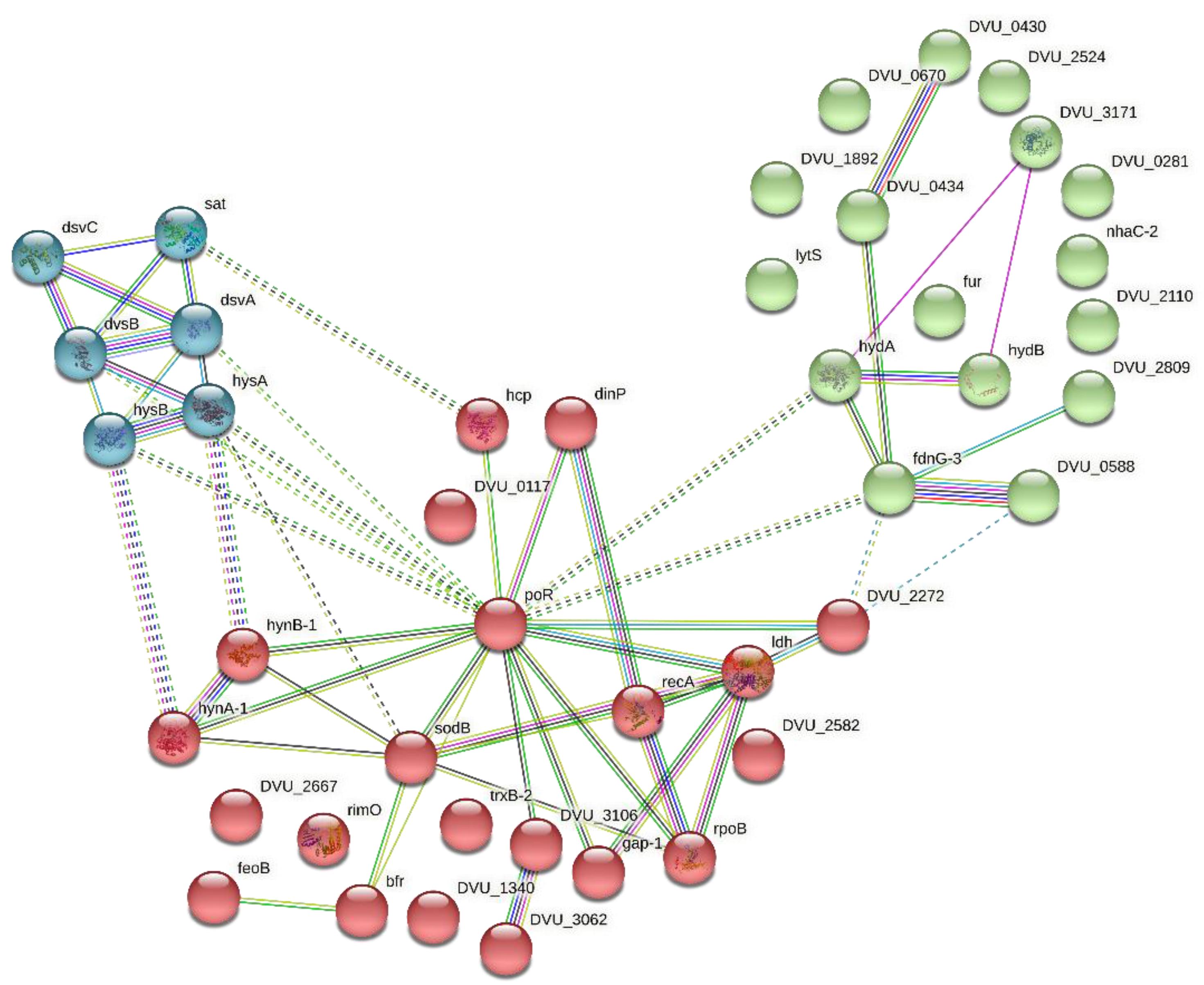 Microorganisms 11 00119 g003