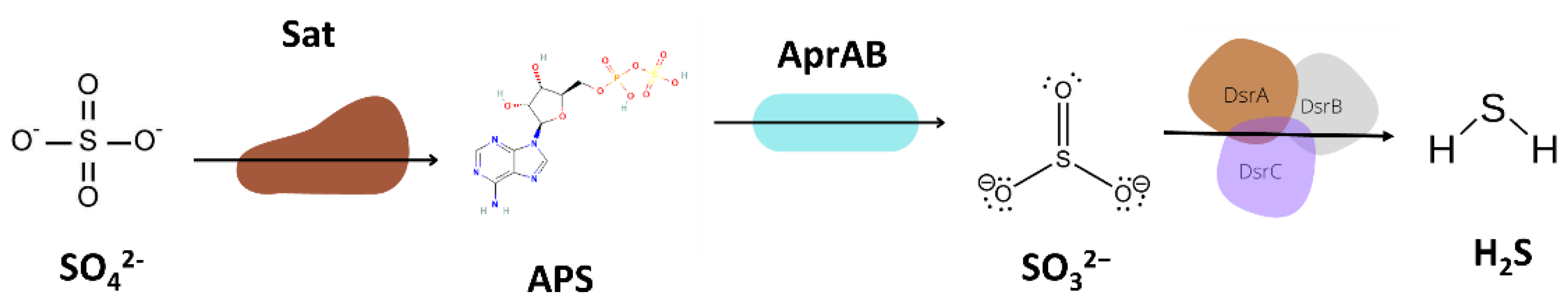 Microorganisms 11 00119 g006