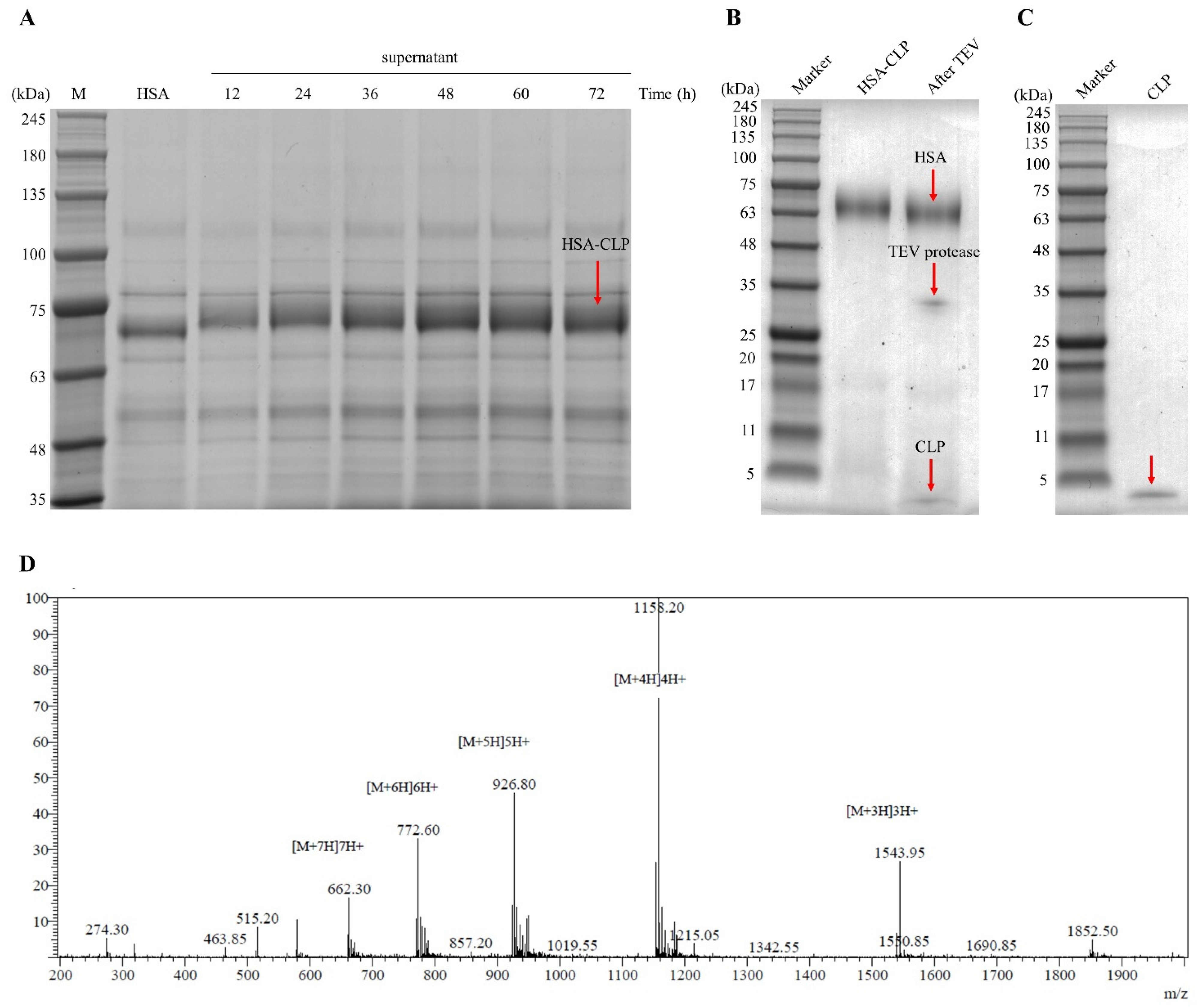 Microorganisms 11 00131 g002