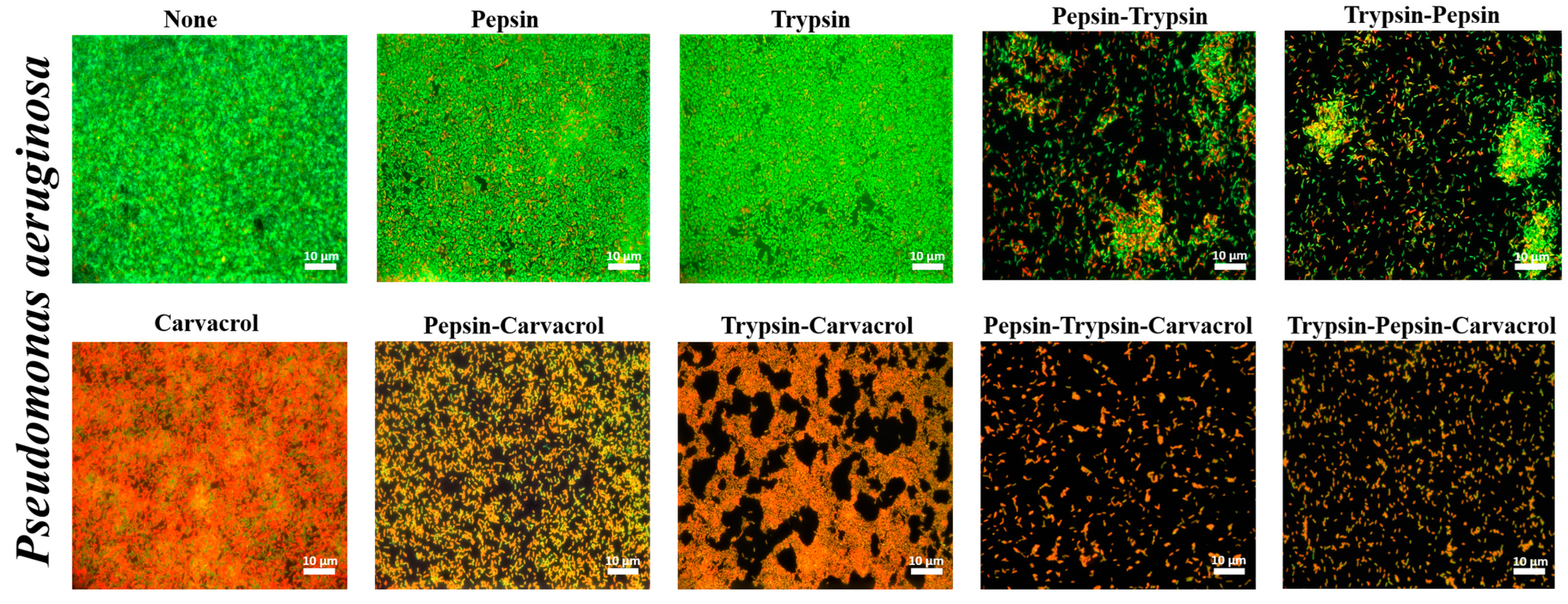 Microorganisms 11 00143 g006