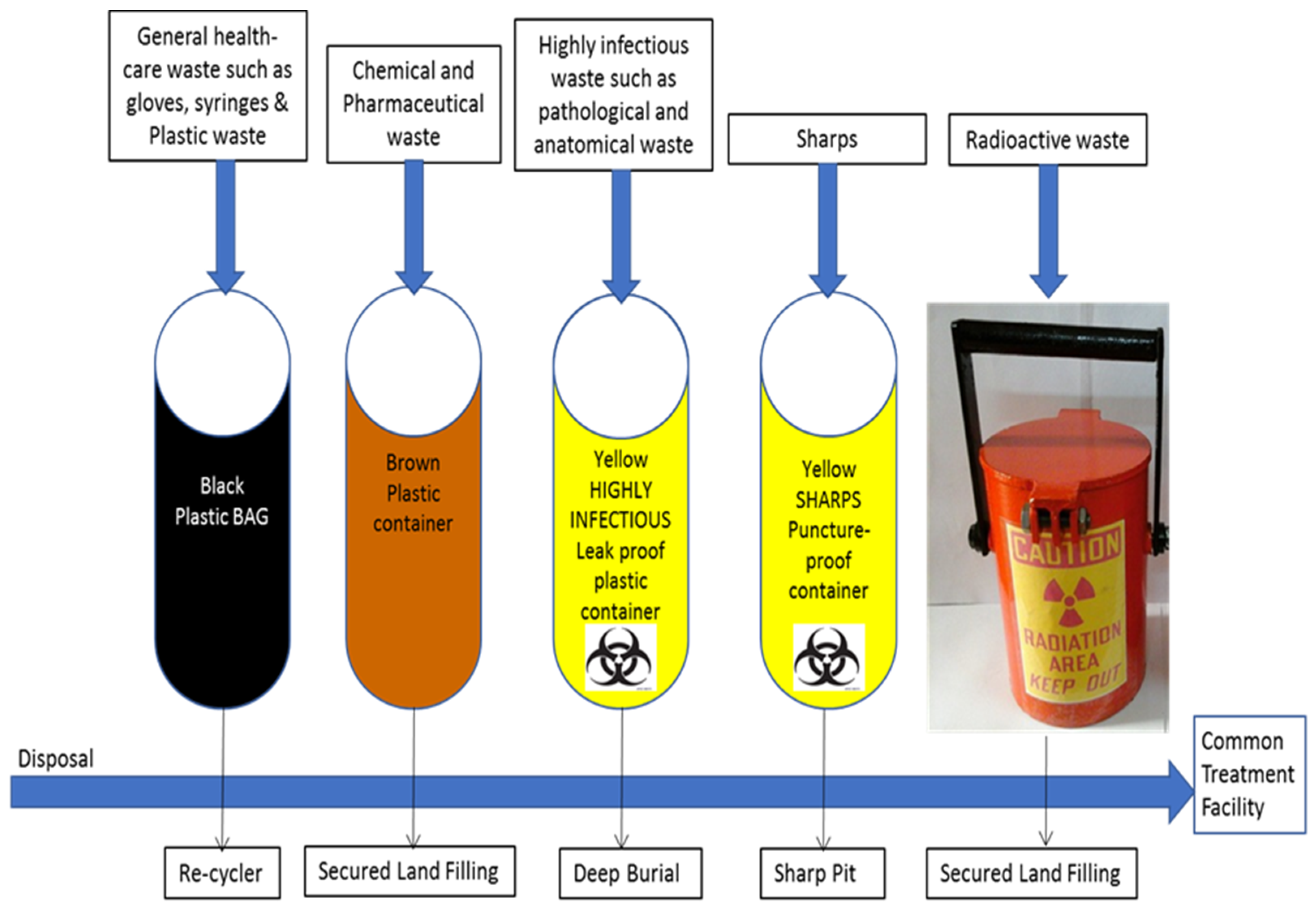 Microorganisms 11 00146 g003 Microorganisms 11 00146 g003