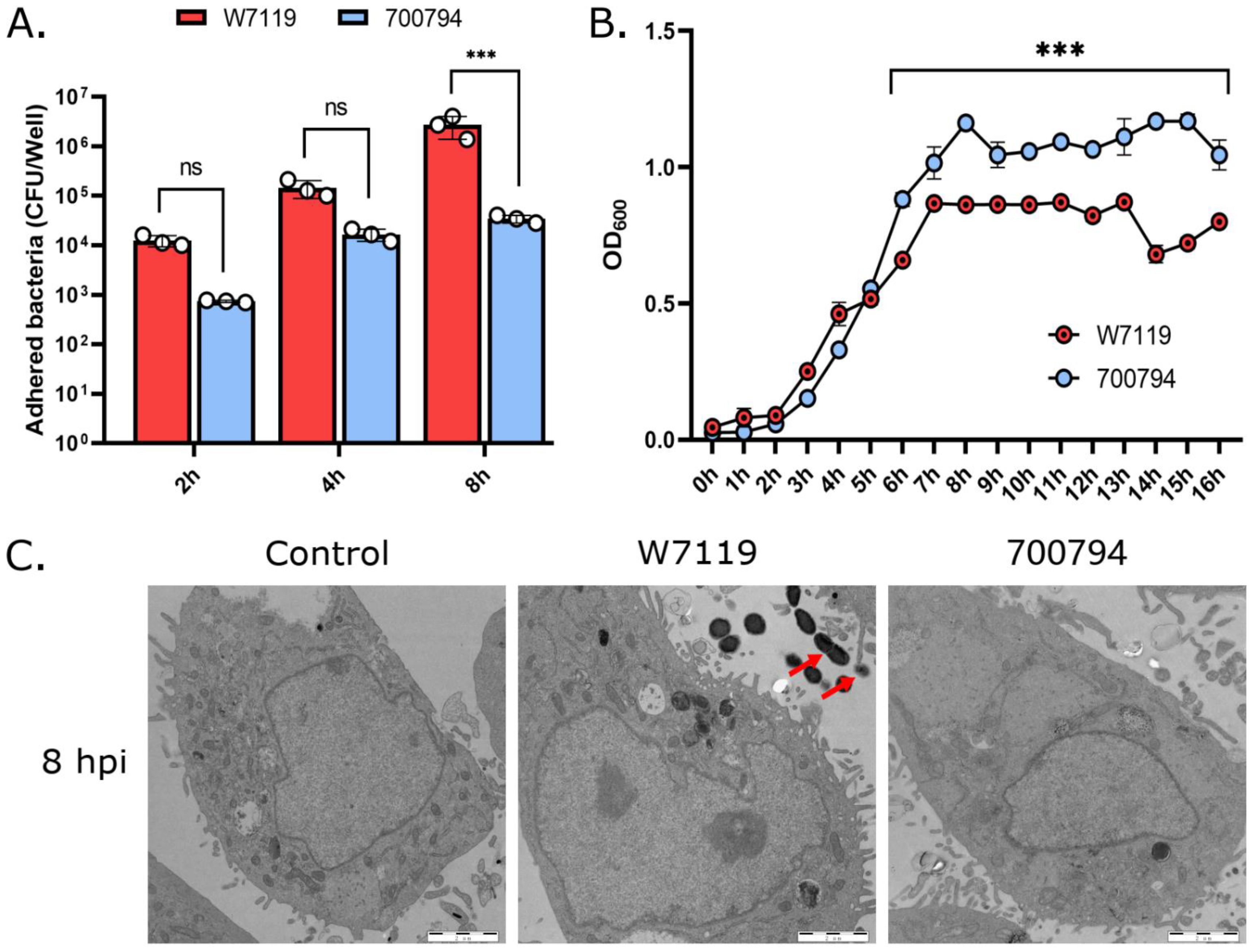 Microorganisms 11 00160 g001 Microorganisms 11 00160 g001
