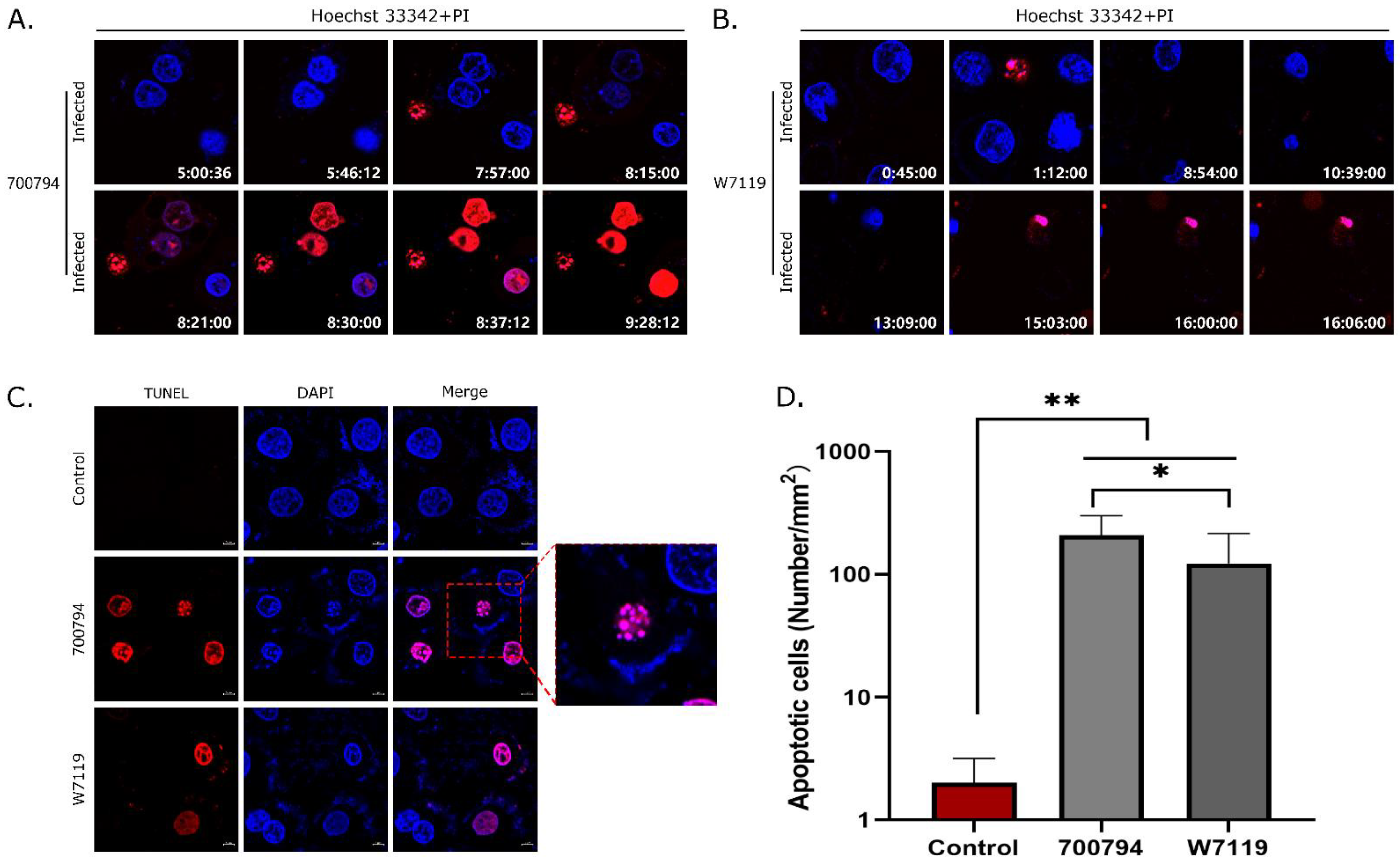 Microorganisms 11 00160 g006 Microorganisms 11 00160 g006