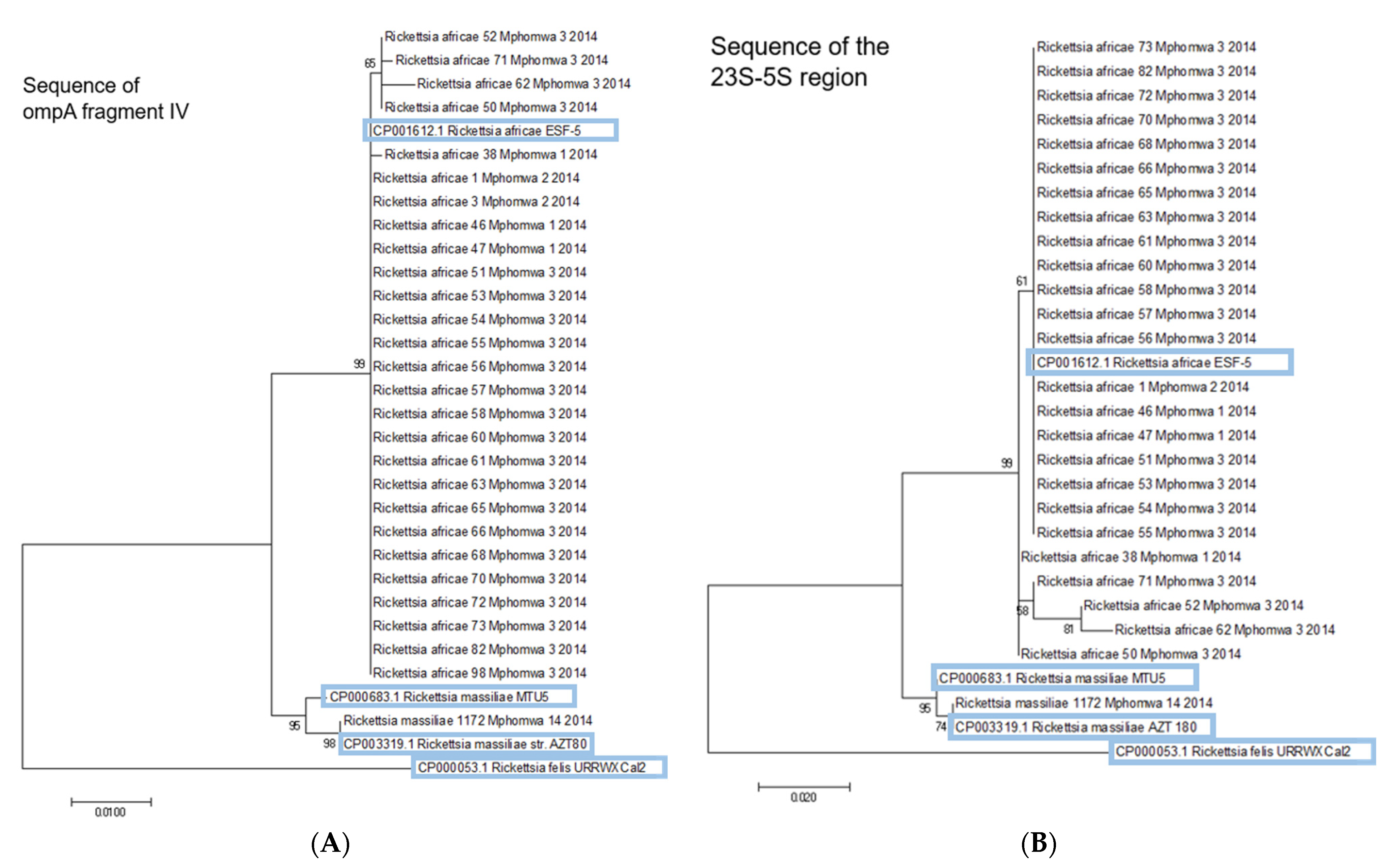 Microorganisms 11 00167 g002 Microorganisms 11 00167 g002