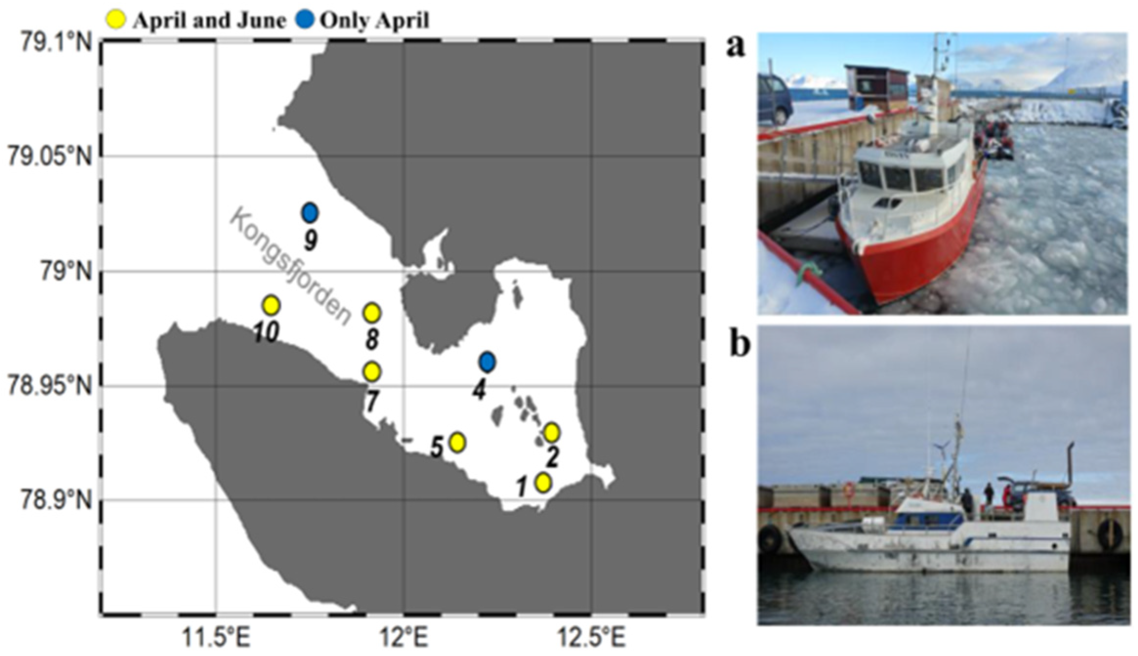 Microorganisms 11 00169 g001